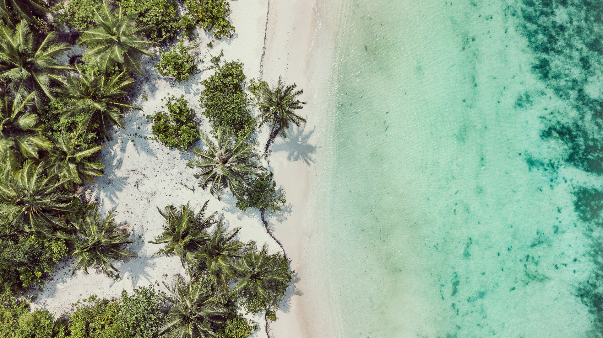 Beach from Heaven