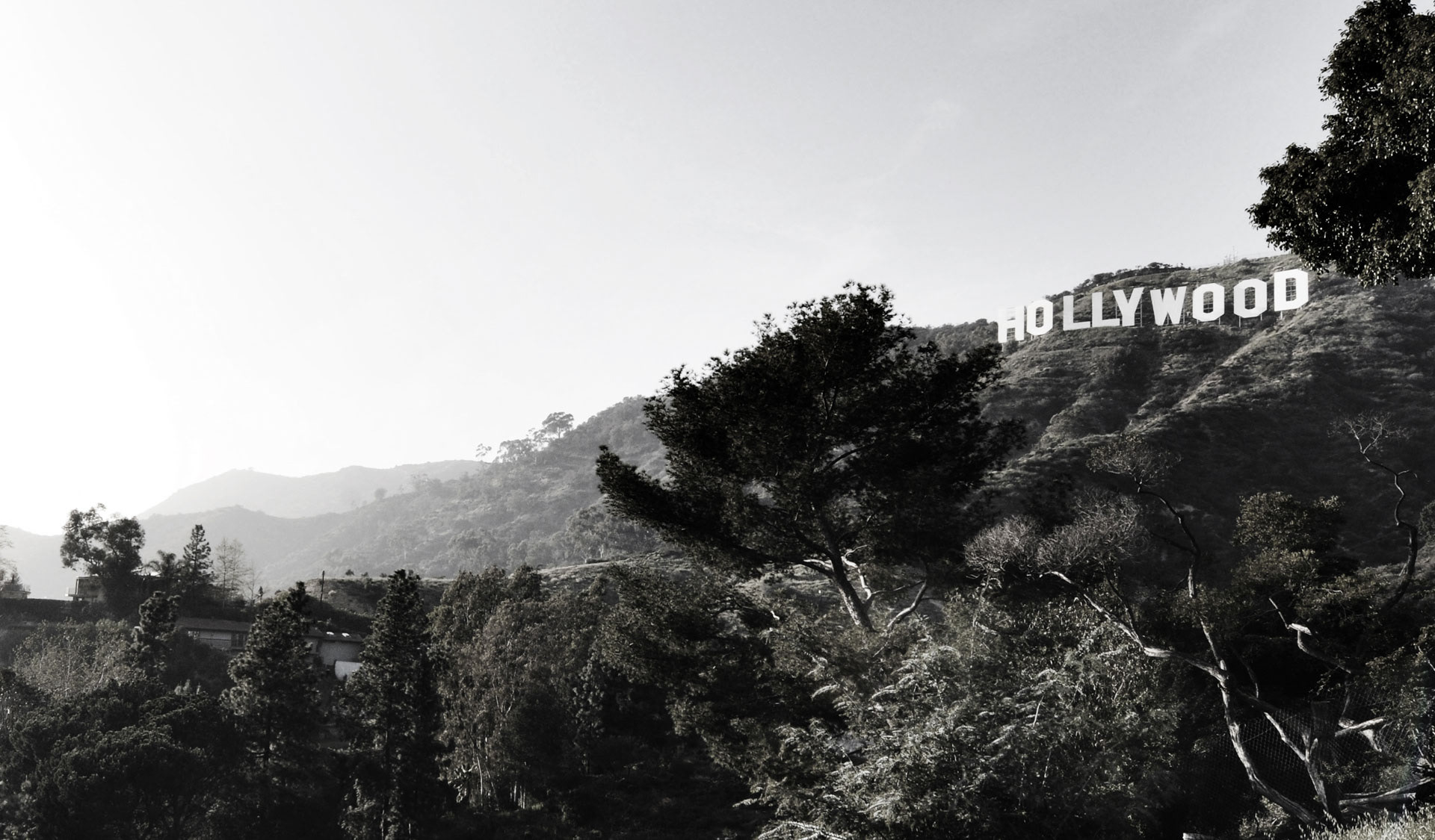 Hollywood Hills