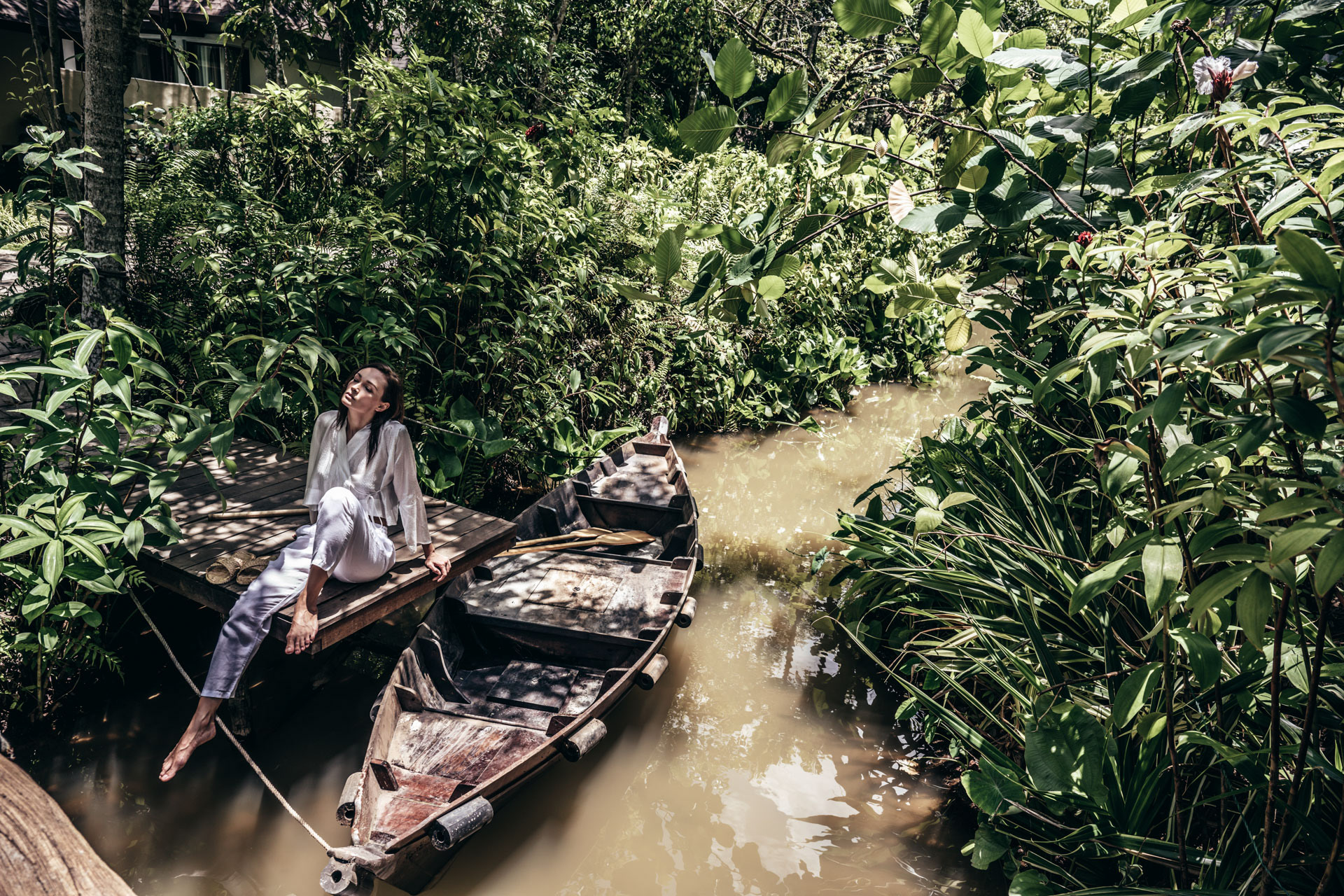 Dream in the Jungle