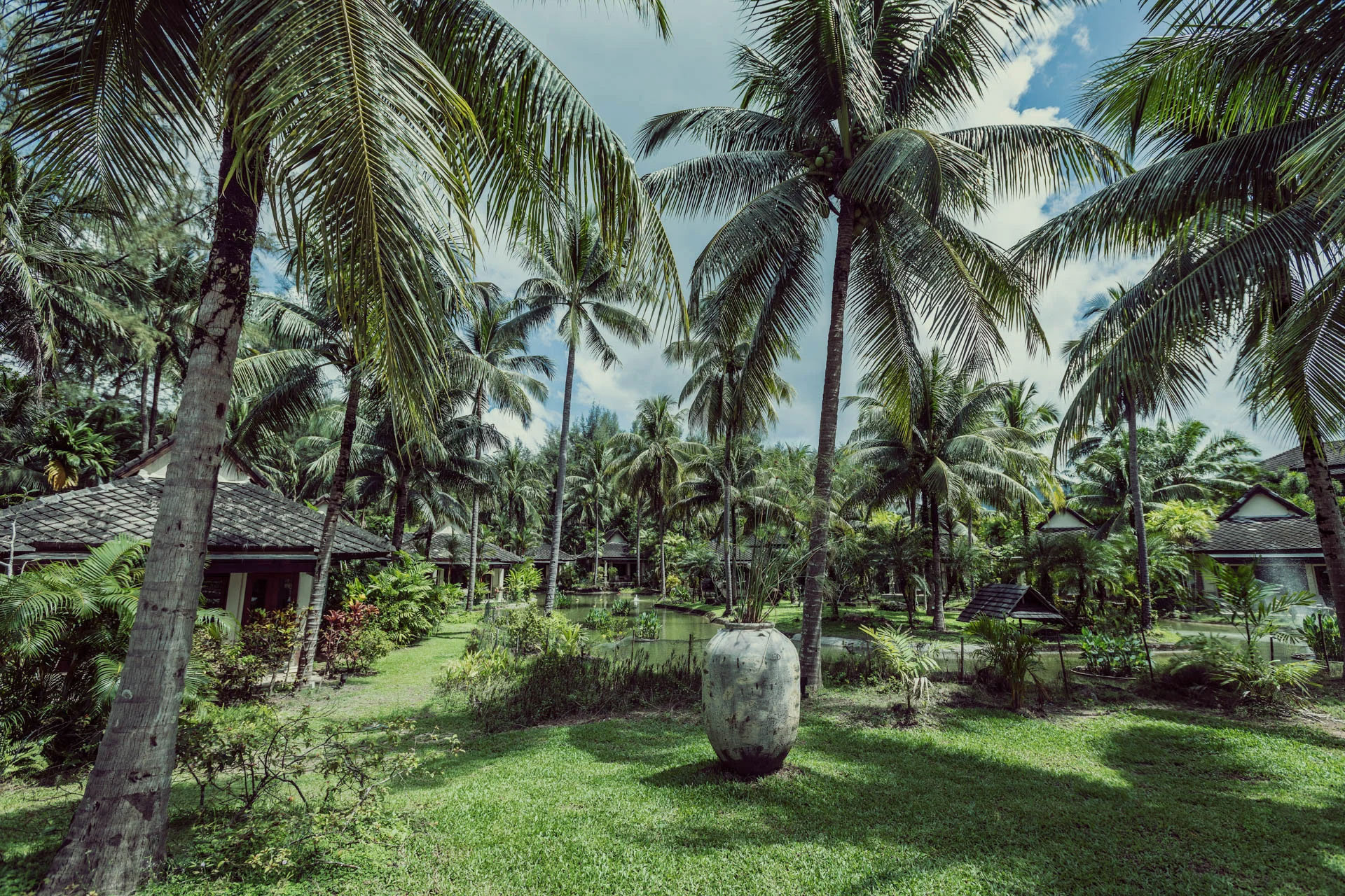 Green Oasis