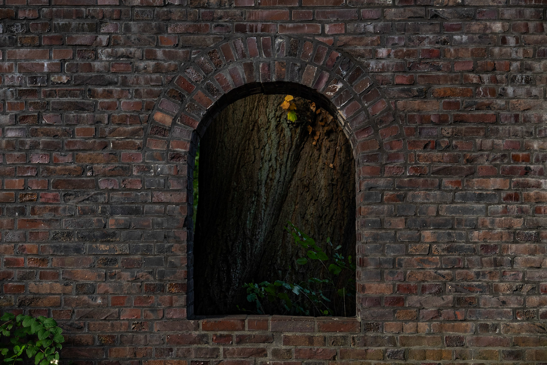 Window in Brick Wall