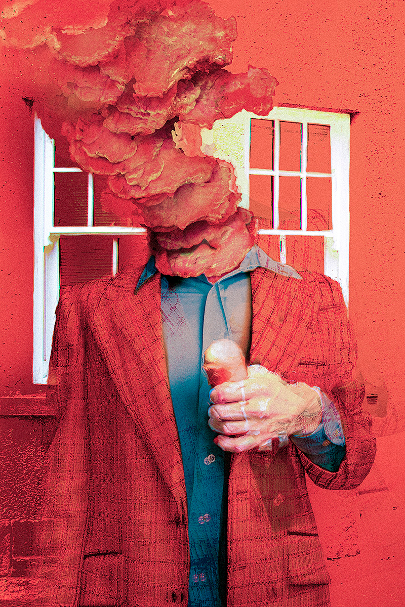 Interior artwork for Solemn Vale from Dirty Vortex