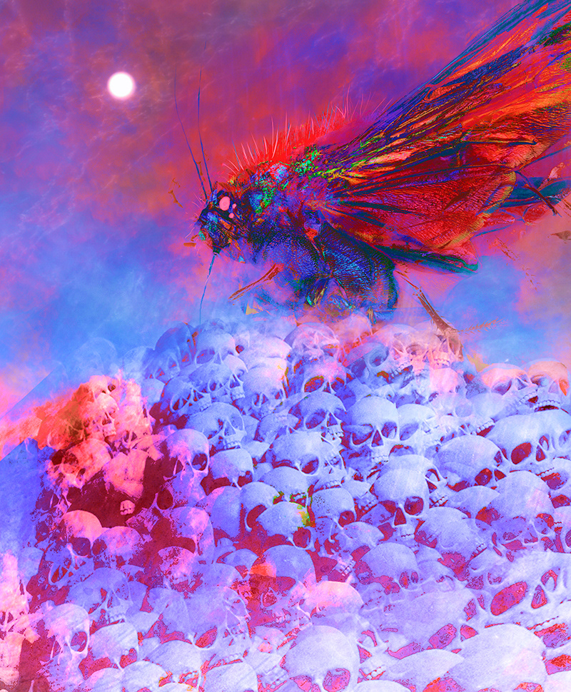 Personal Work - Byakhee