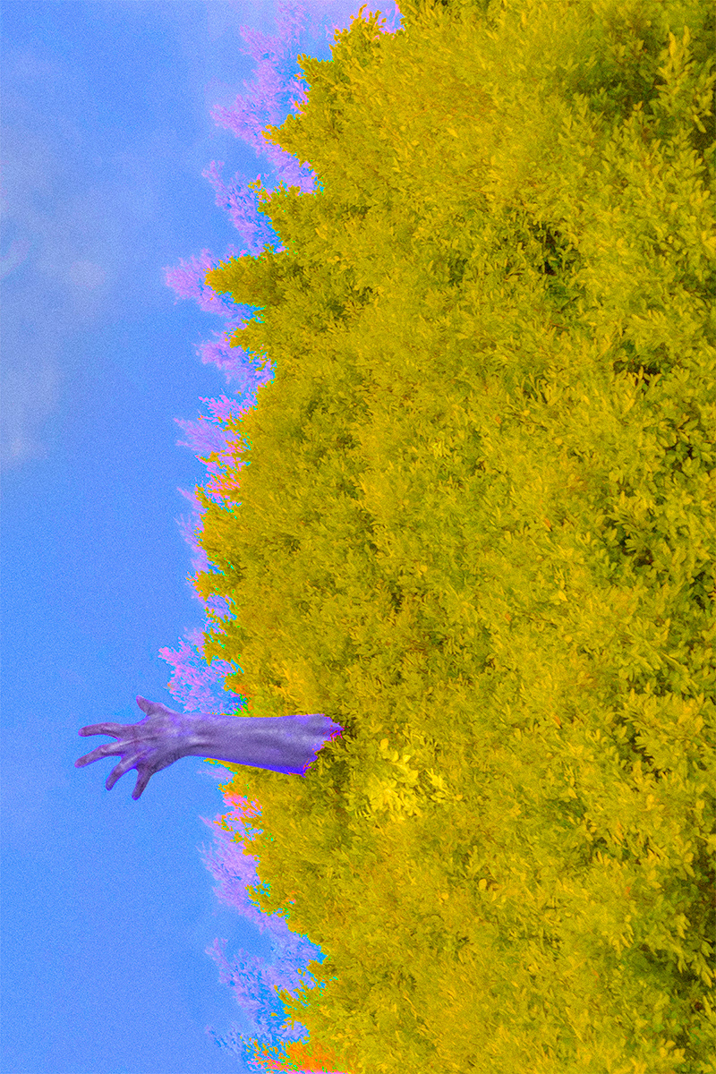 Interior artwork for Solemn Vale from Dirty Vortex