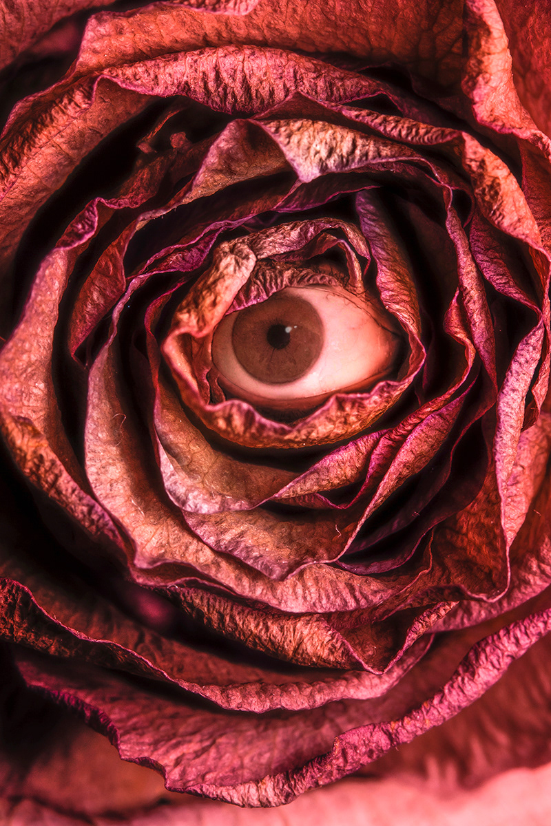 Personal Work - The Flower of my Eye