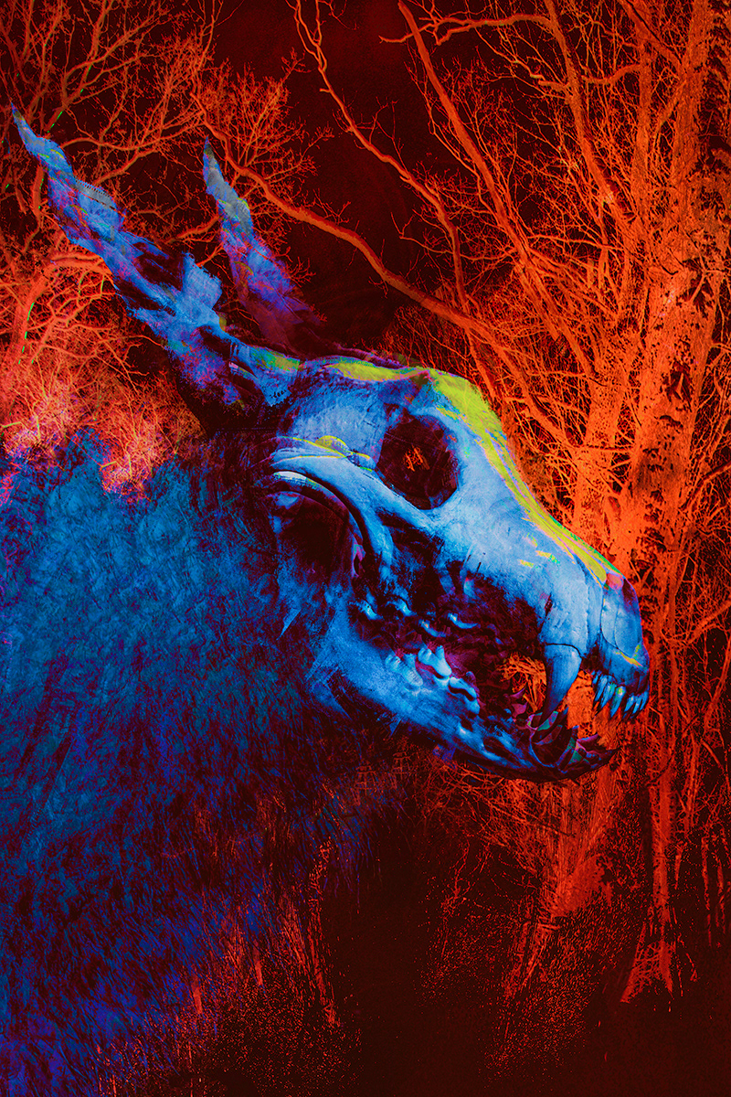 Personal Work - Wendigo