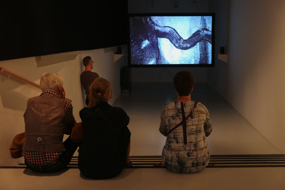 Strauhof Zurich: exhibition view 'Fulesee'