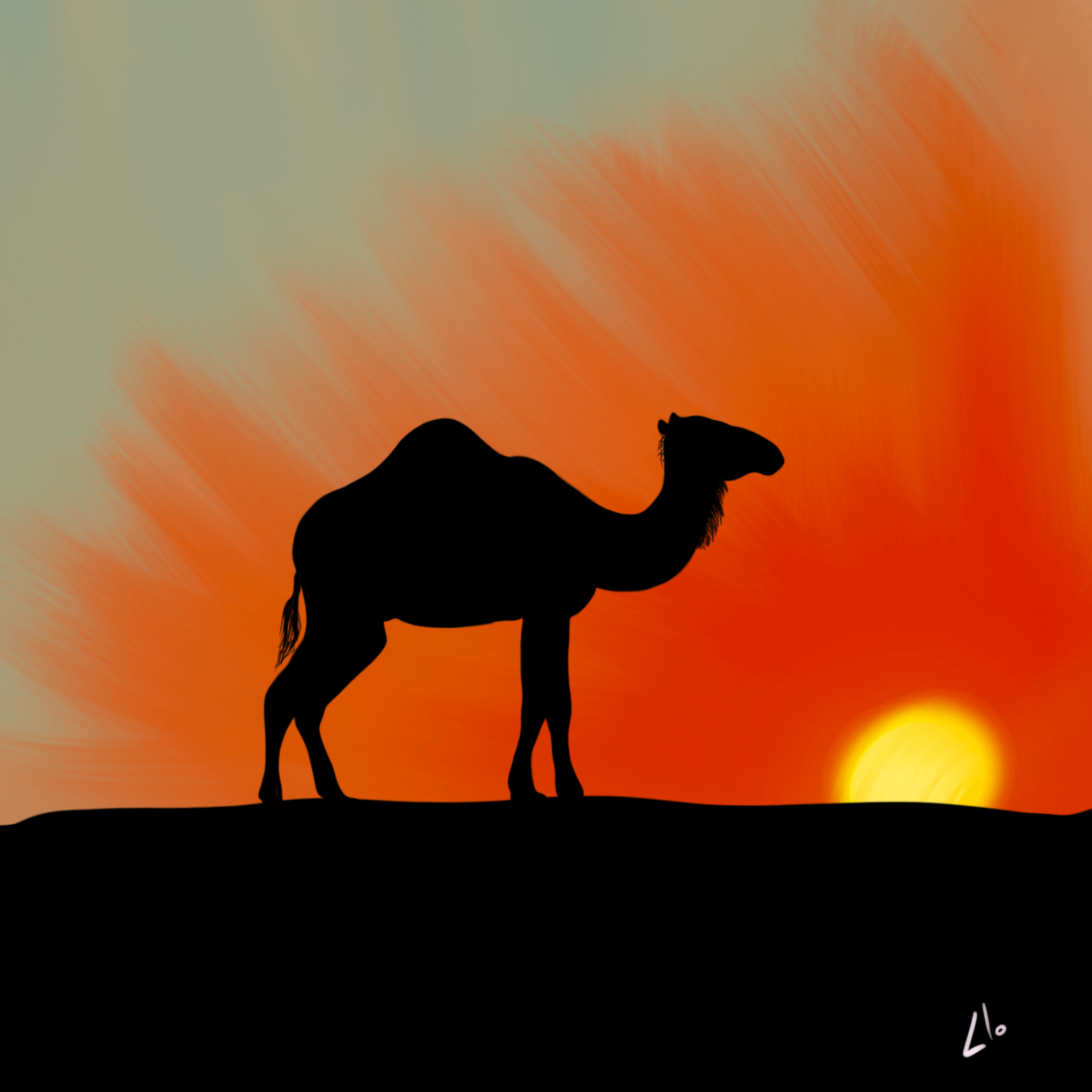 Dune