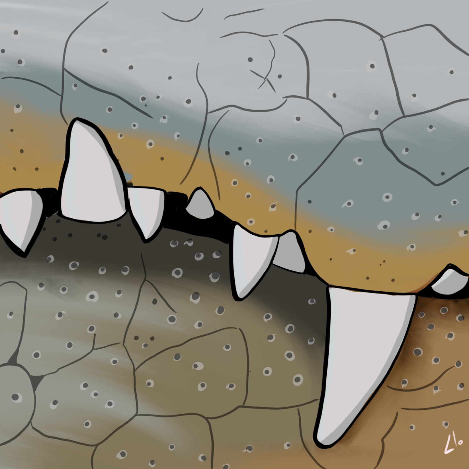 Teeth