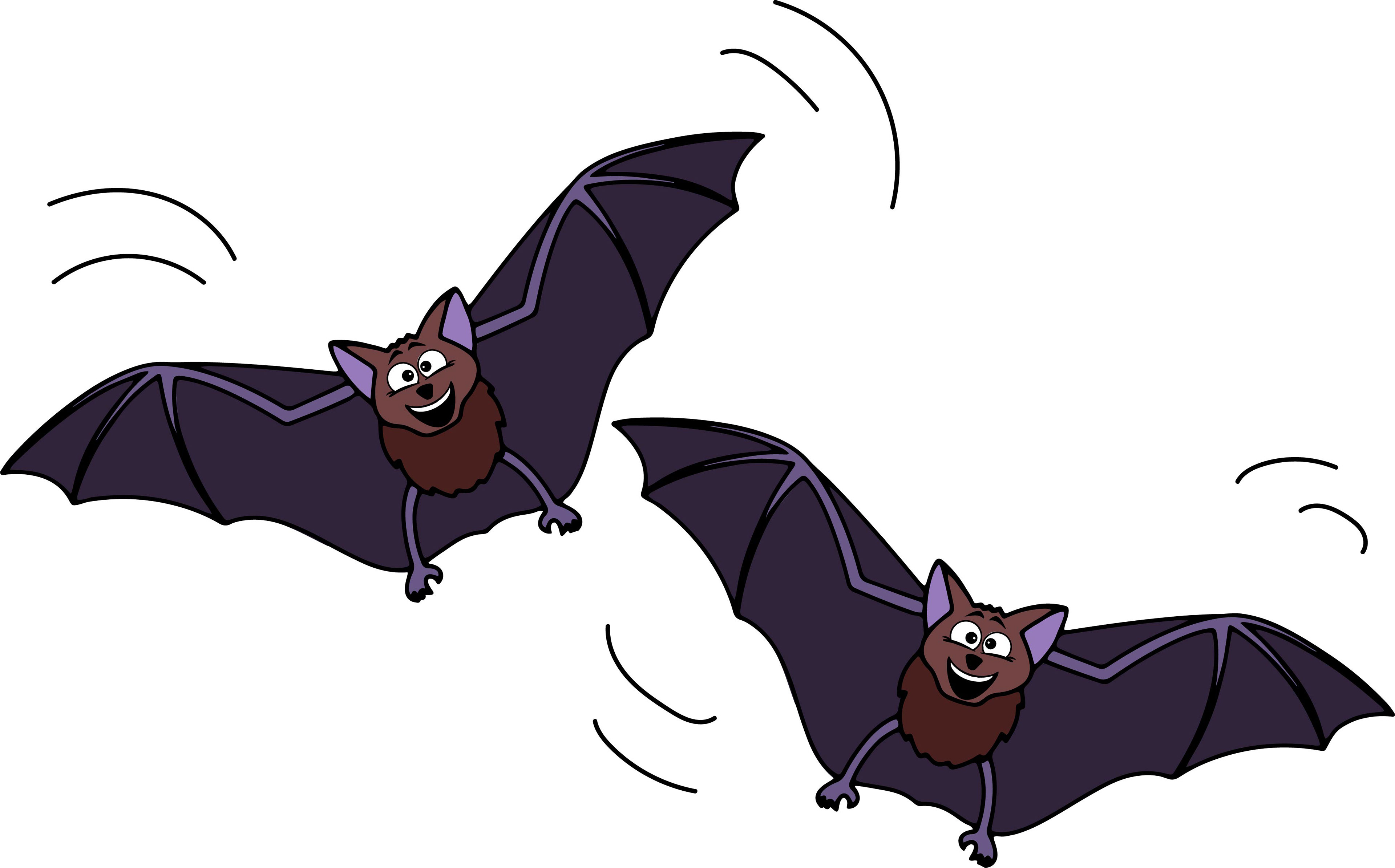 I pipistrelli gemelli