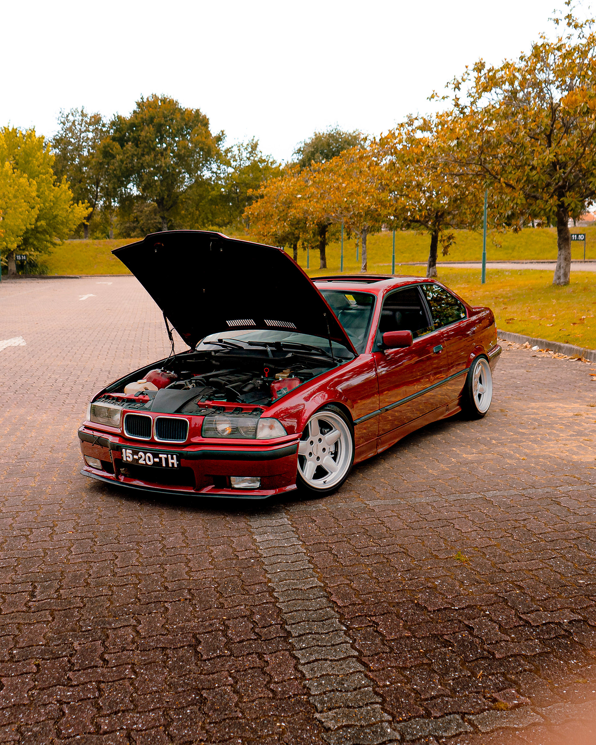 E36 "TH"
