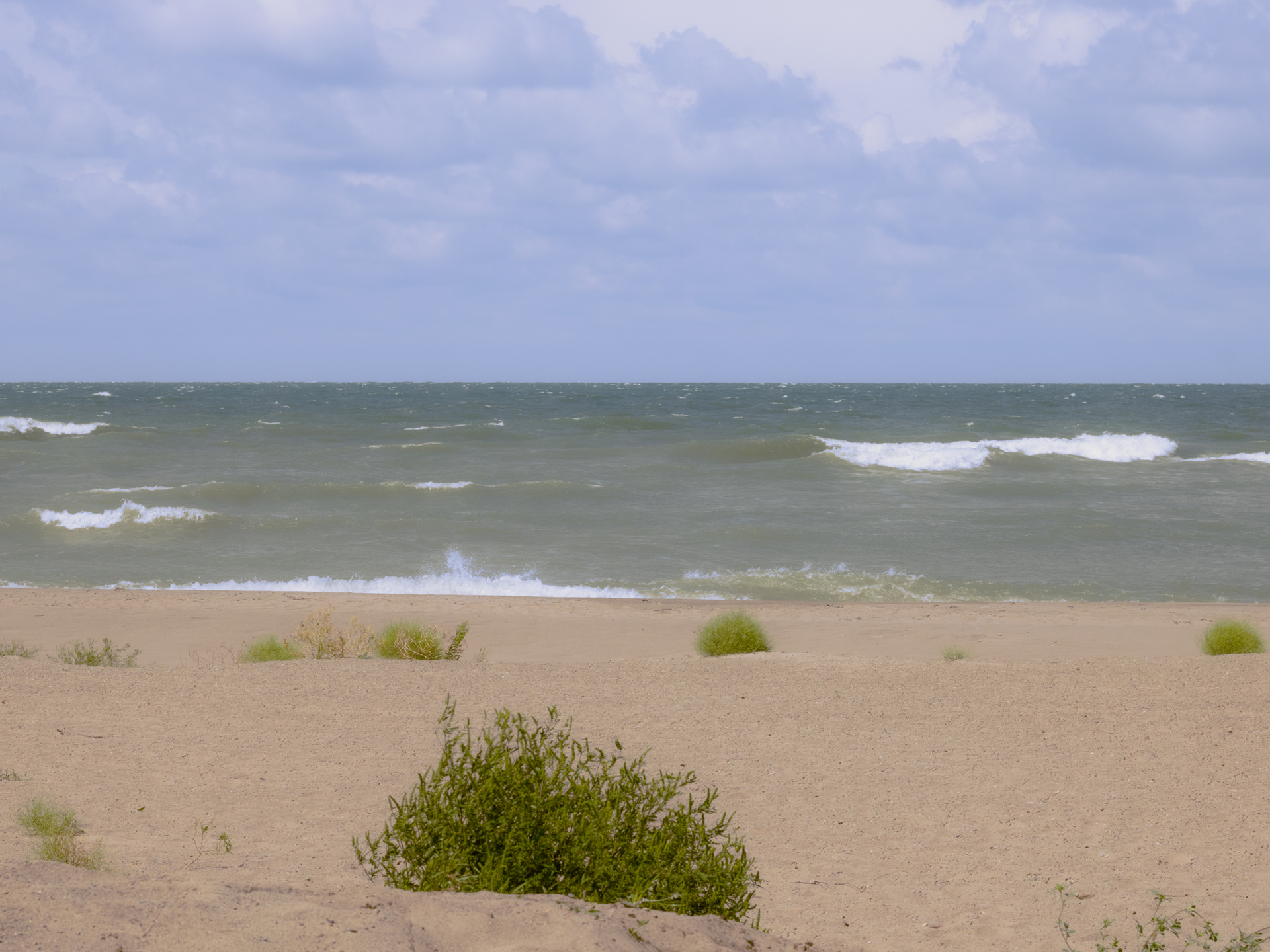 Late Summer Windy Day V - Stone Jetty Beach Lake Erie
