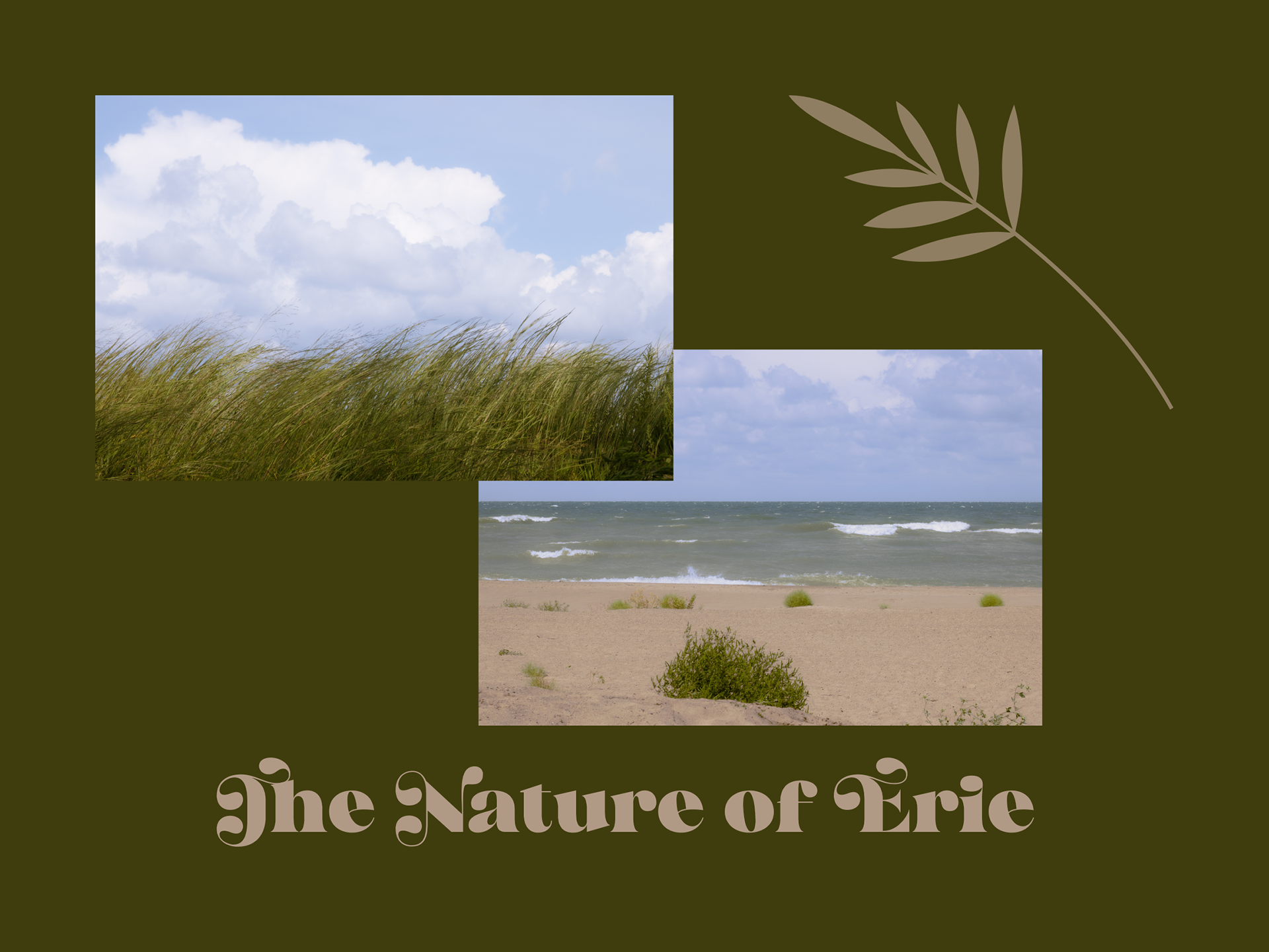 Late Summer Windy Day I - Stone Jetty Beach Lake Erie 