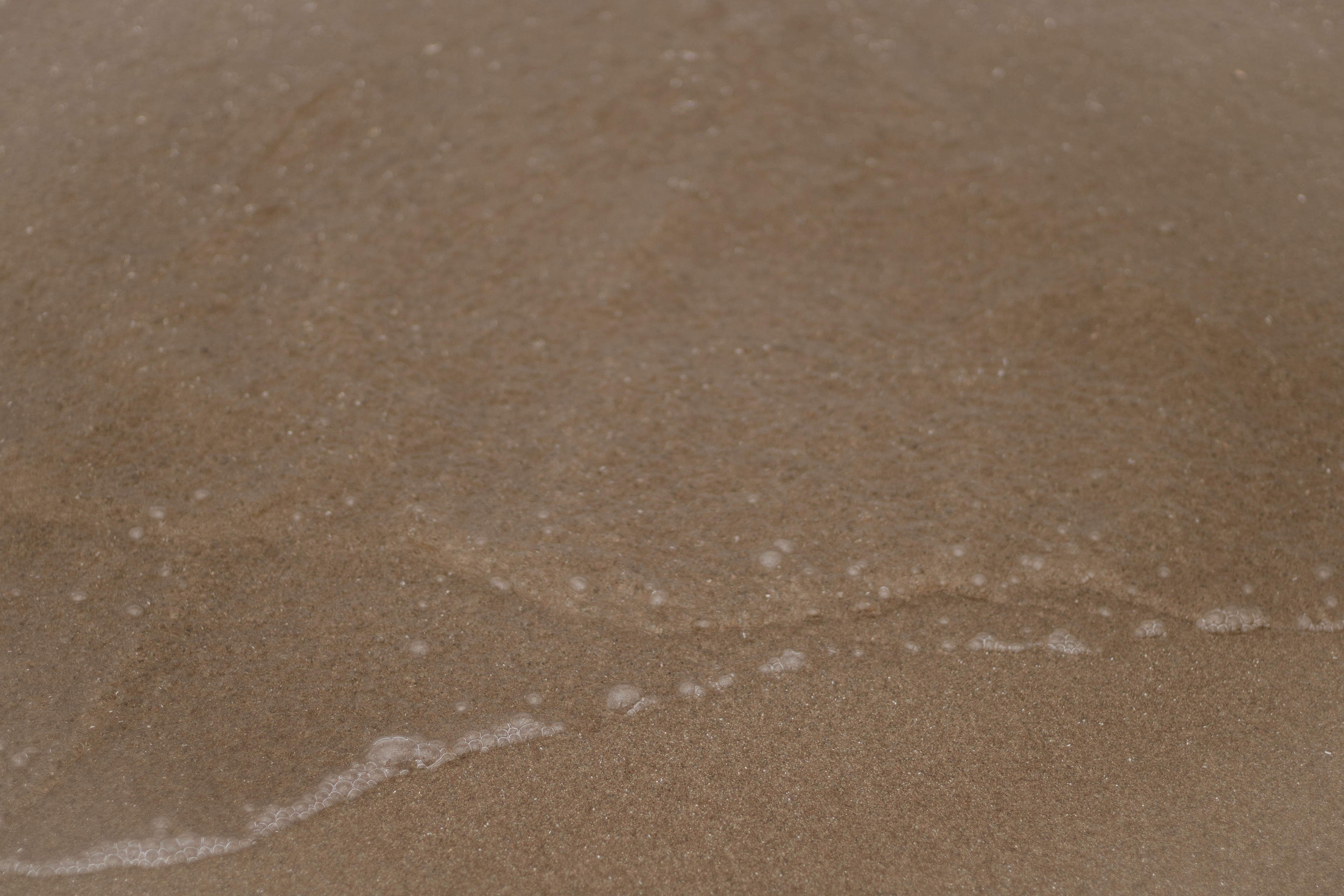 Sand On The Shore Presque Isle