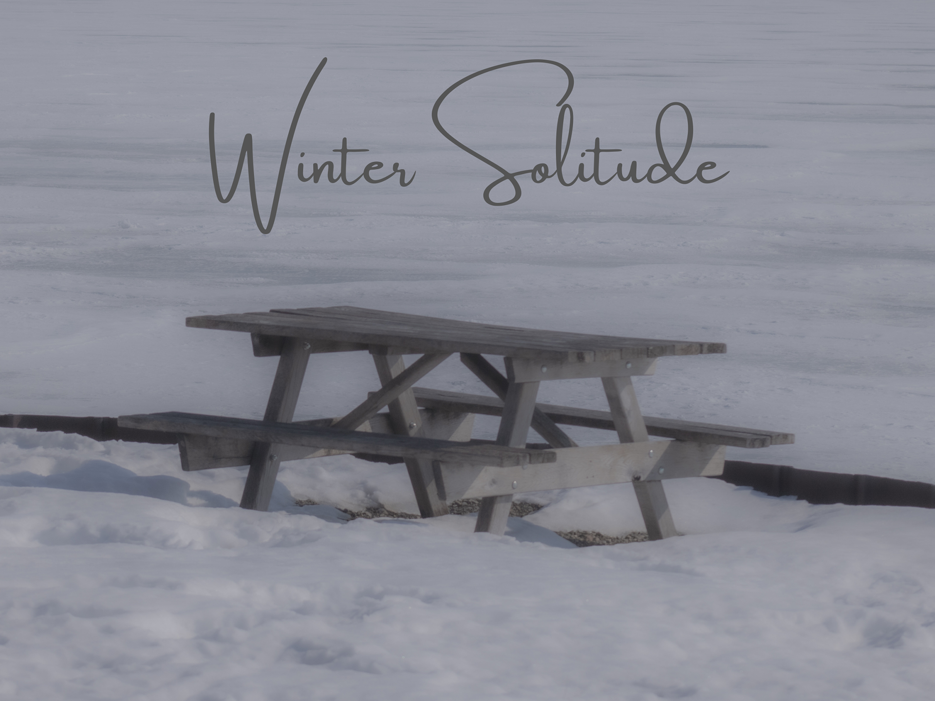 Winter Solitude ~ The Bay 