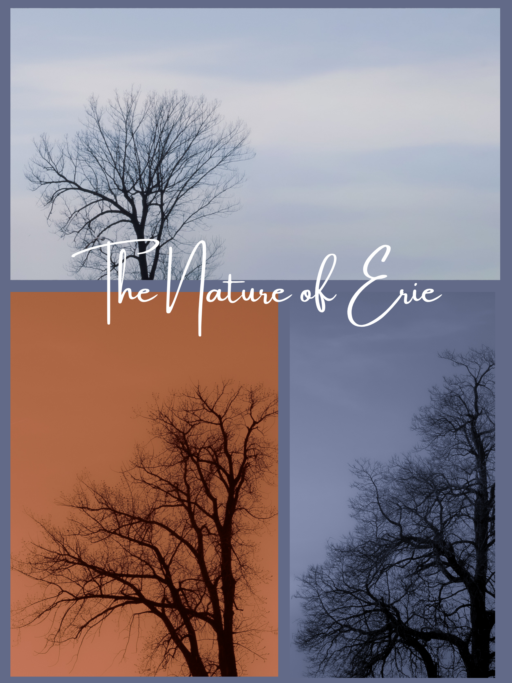 The Nature of Erie Collage 6
