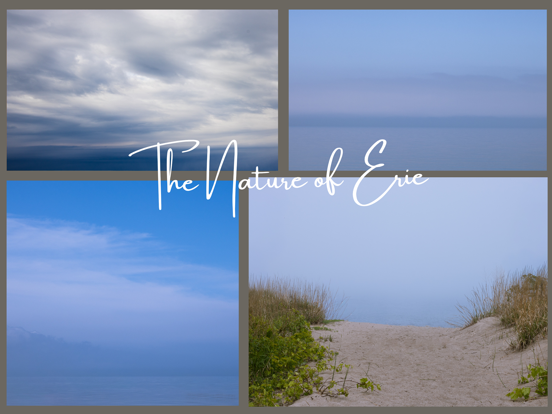 The Nature of Erie Collage 4