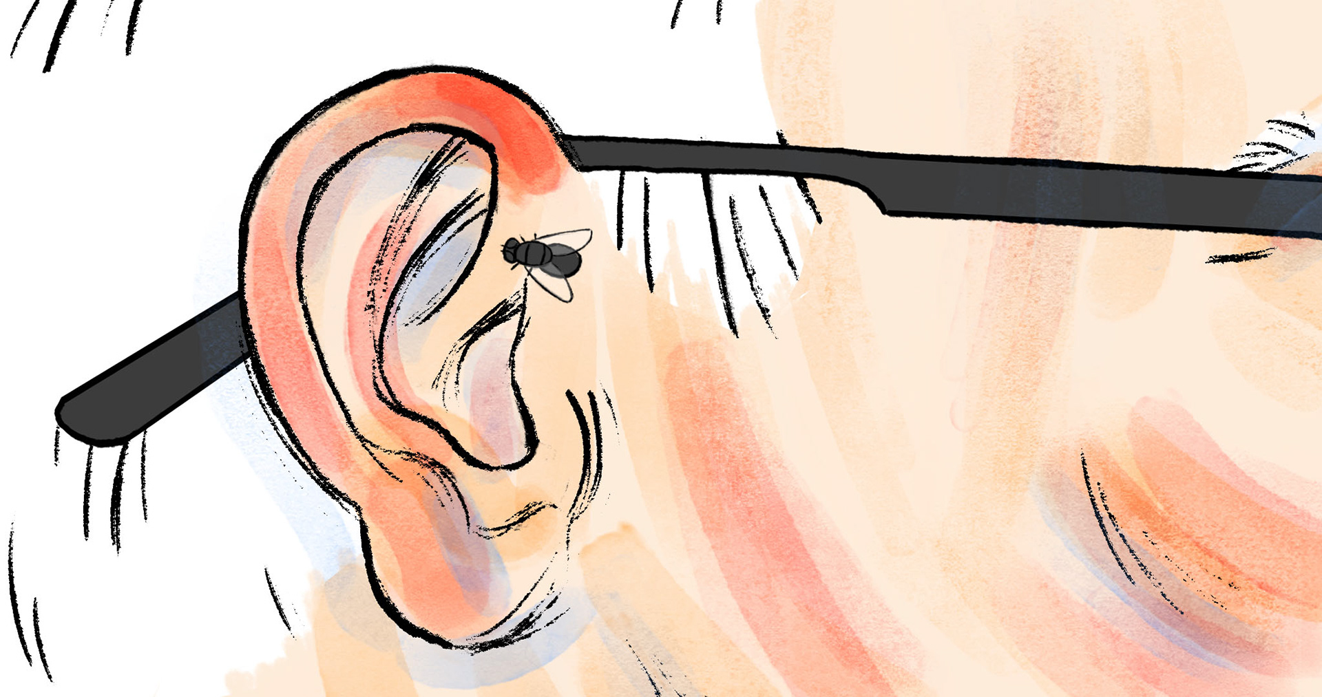 Fly on Ear Les Candidats 48 Hour Animation Fly in Ear