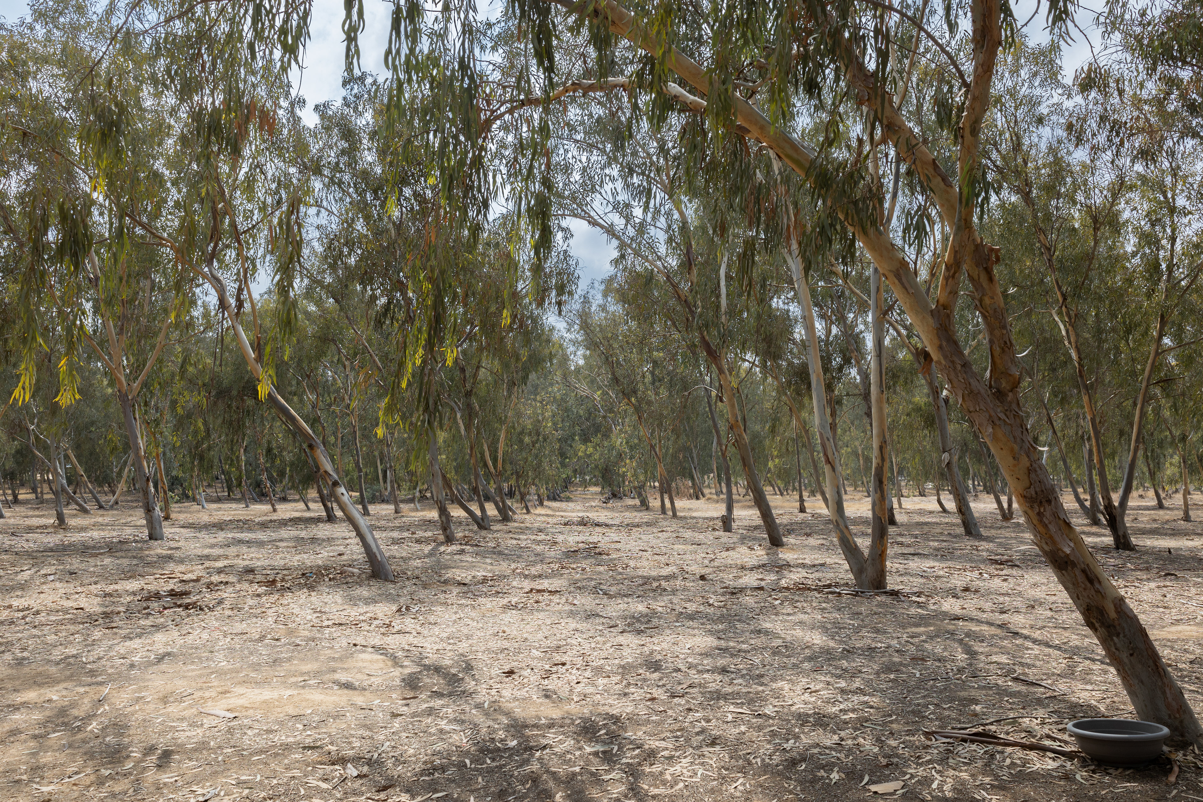 Near from the Nova festival.