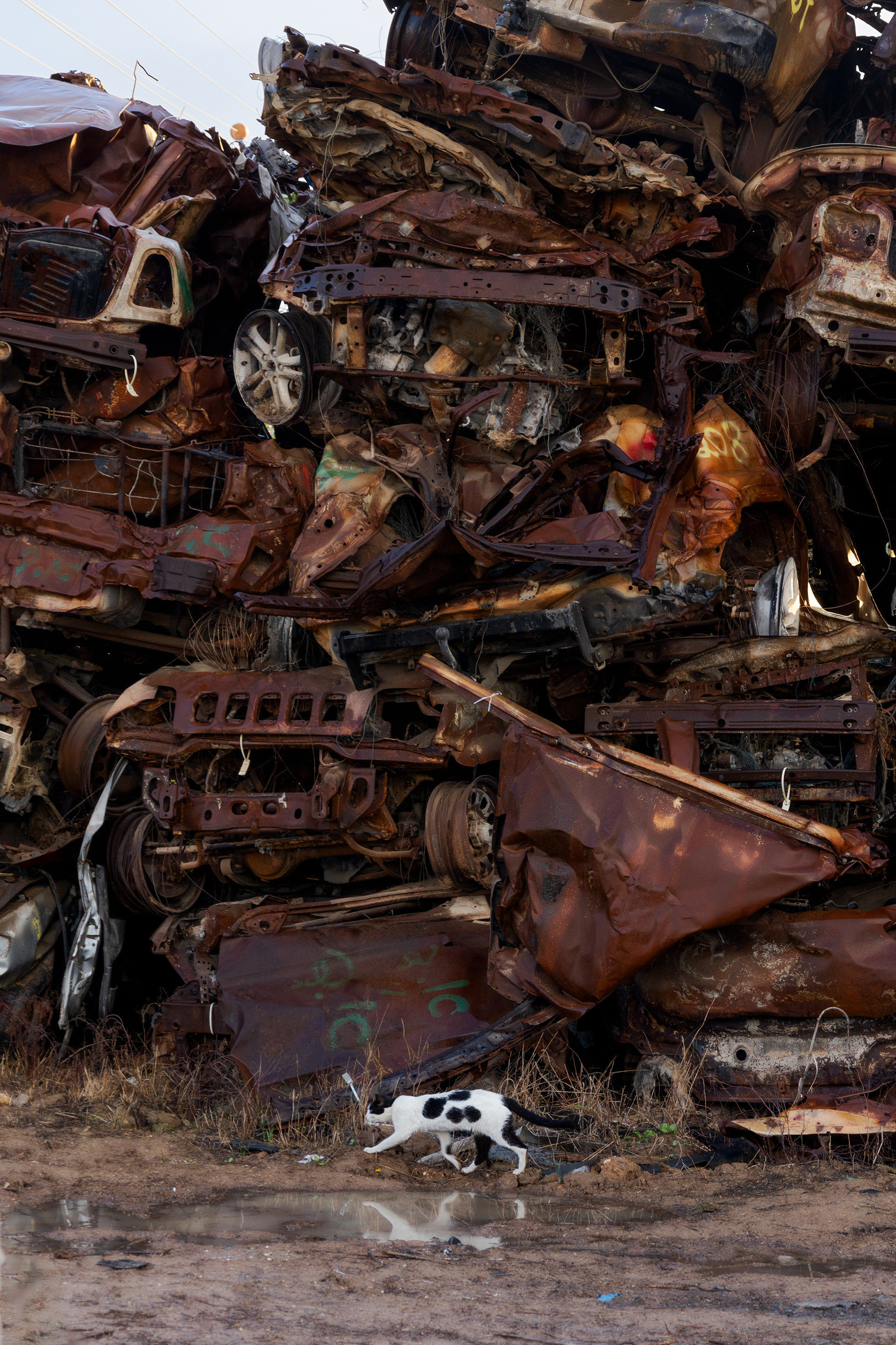 Cemetery of cars destroyed on October 7, 2023.