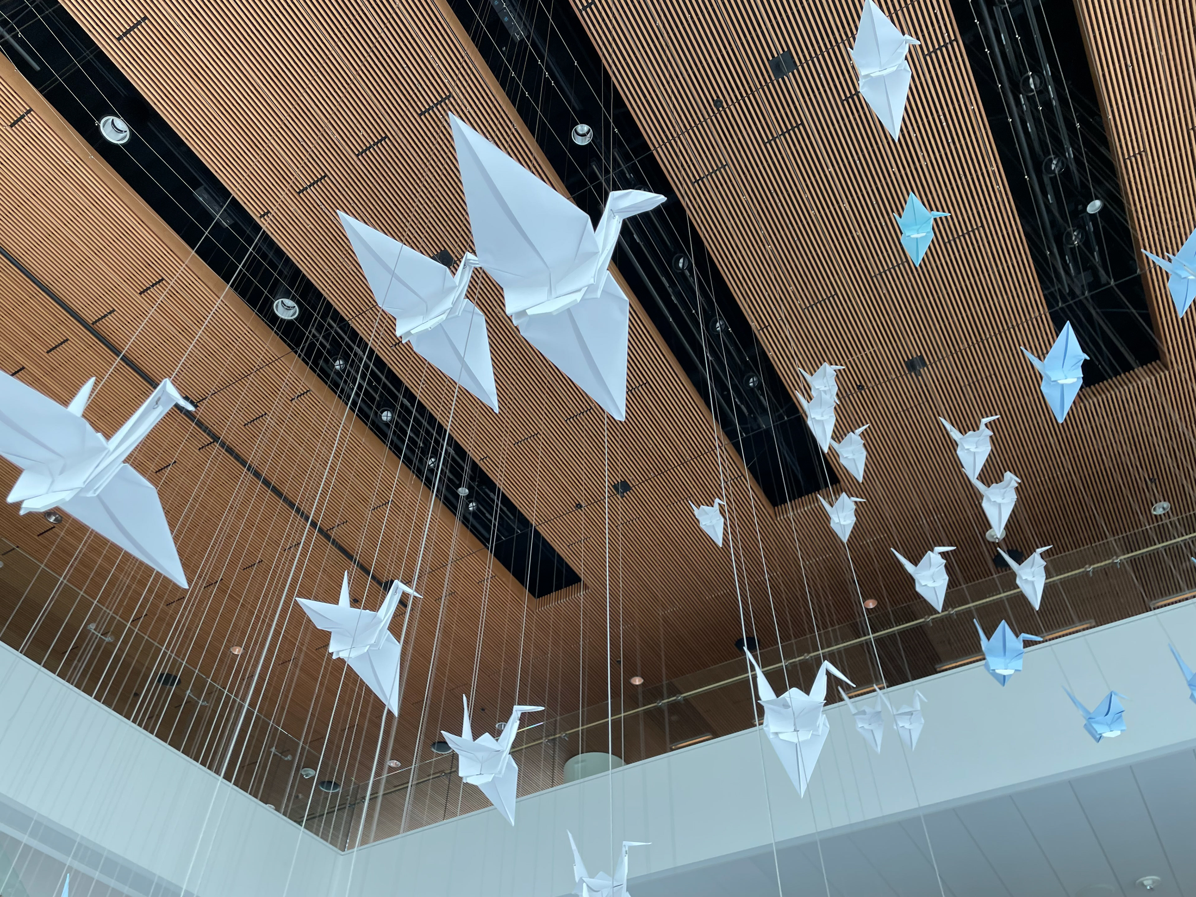 350 folded cranes