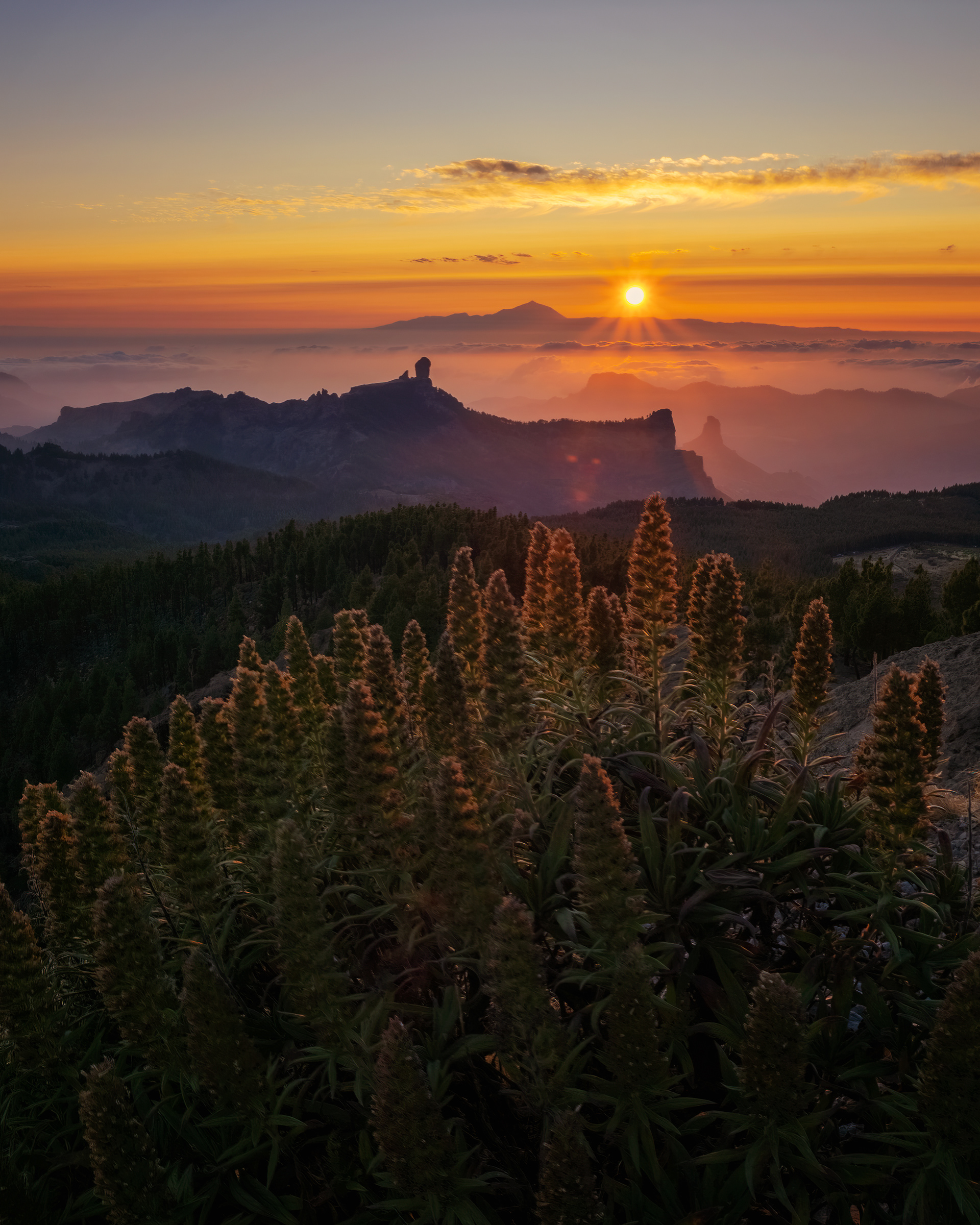 Gran Canaria