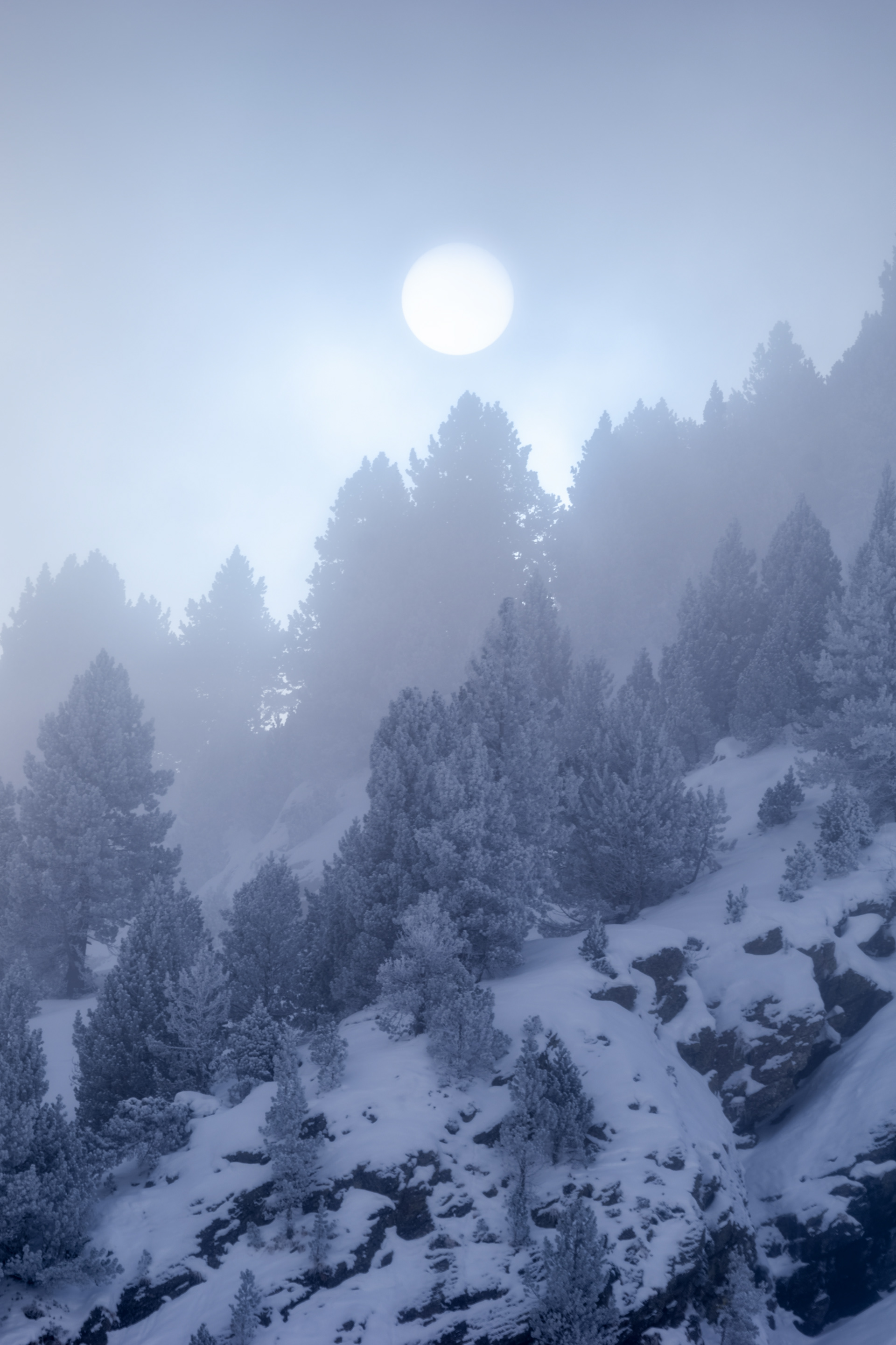 Pirineo frances