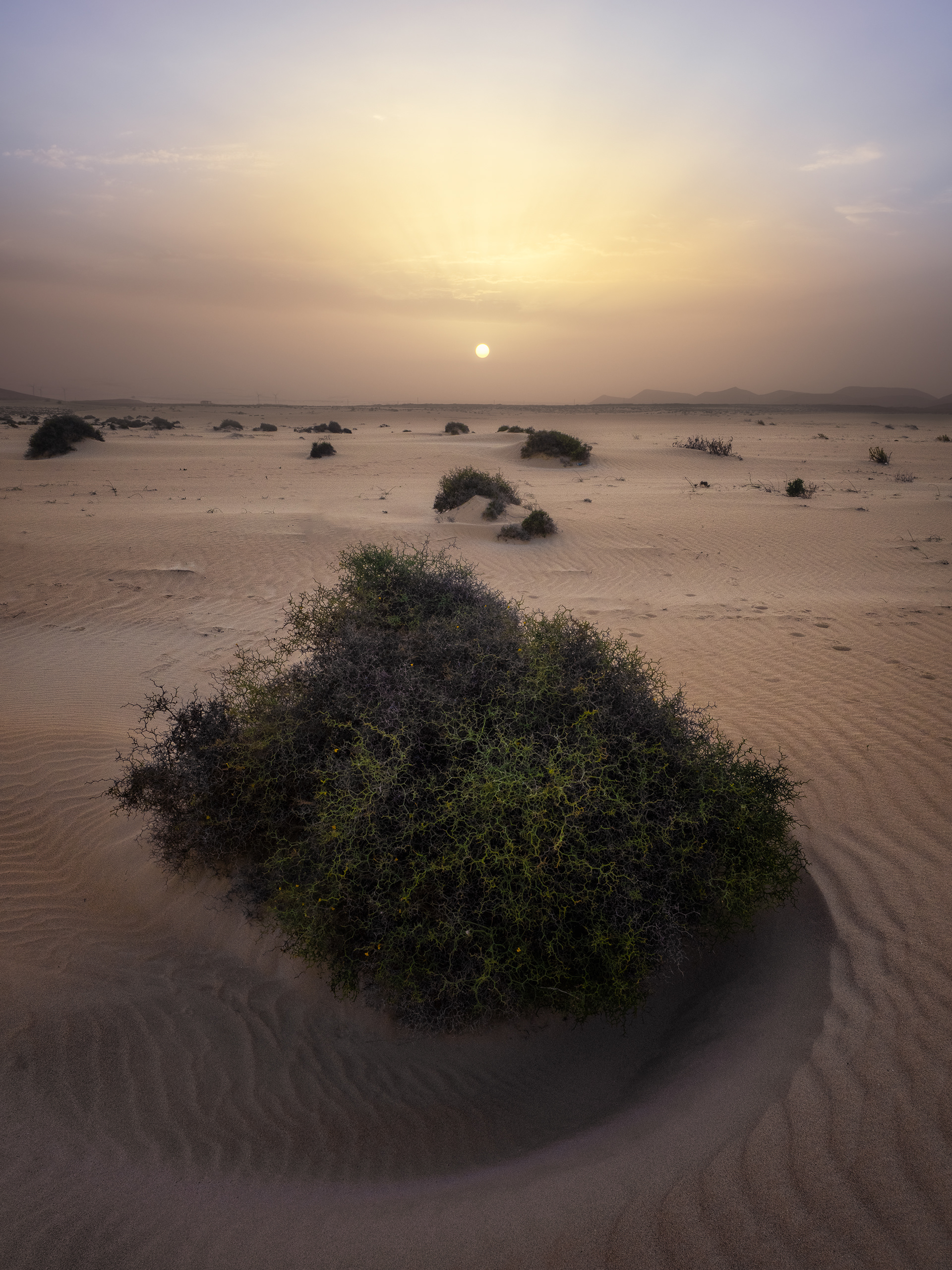 Fuerteventura