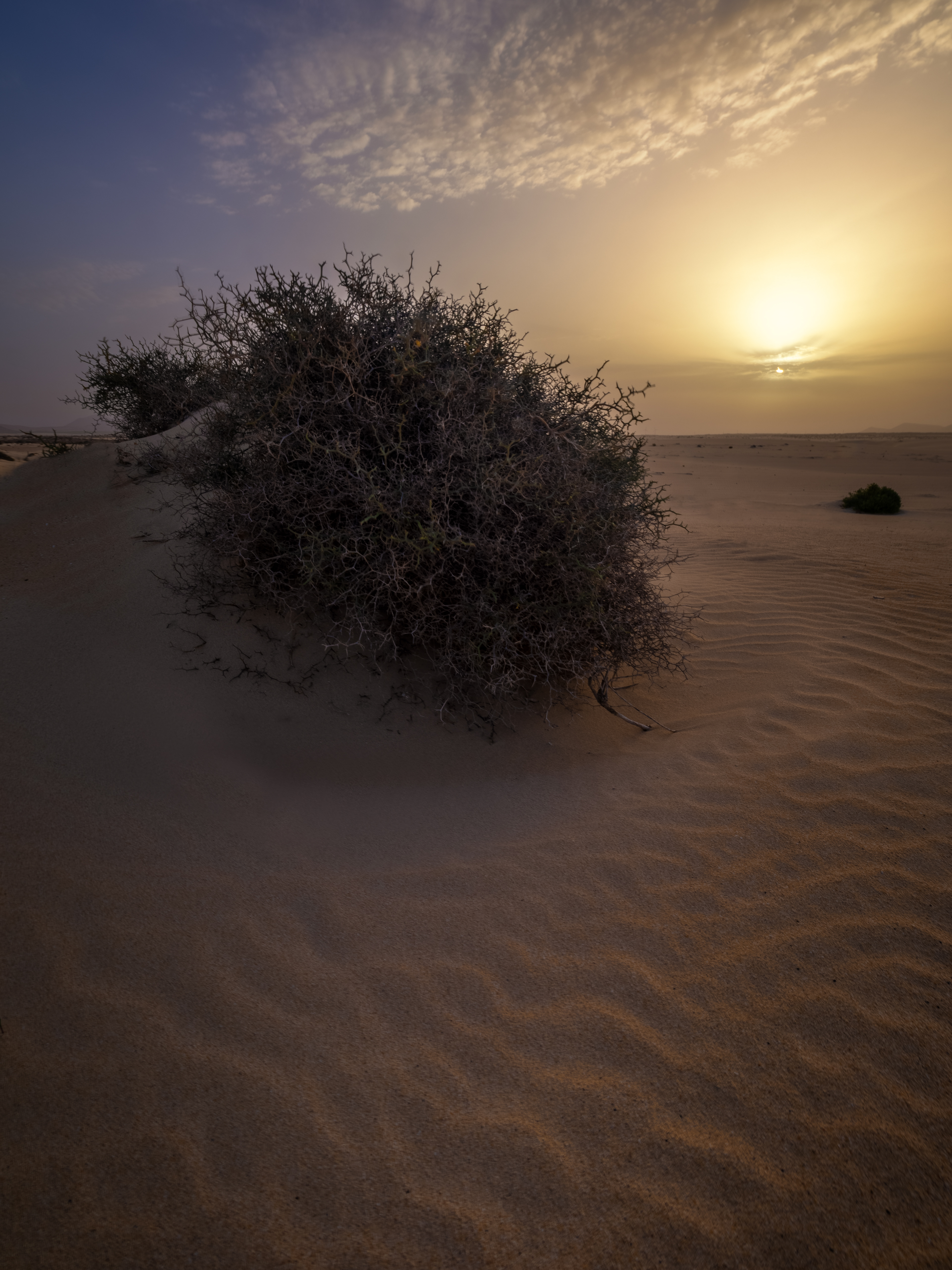 Fuerteventura