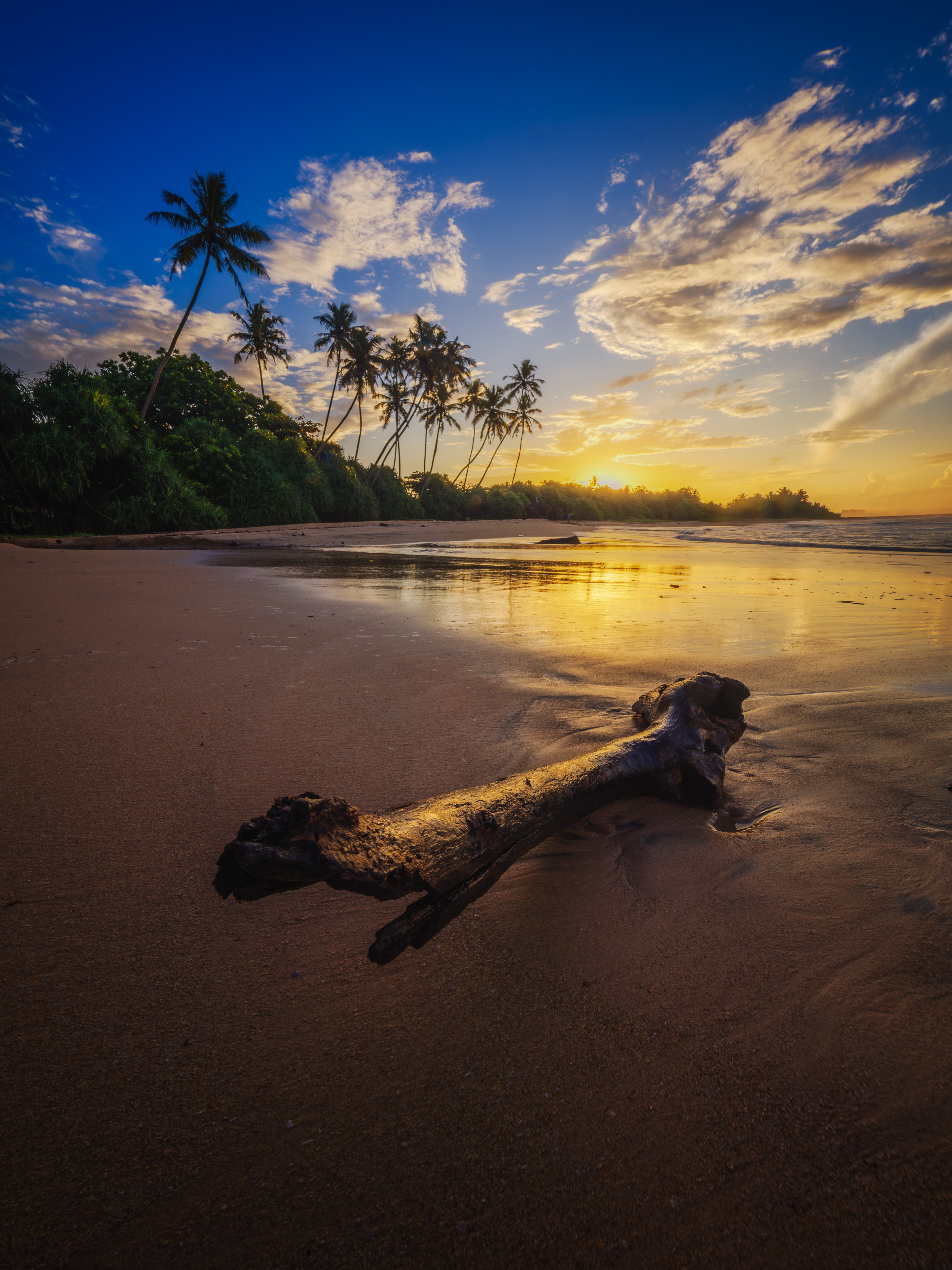 Srilanka