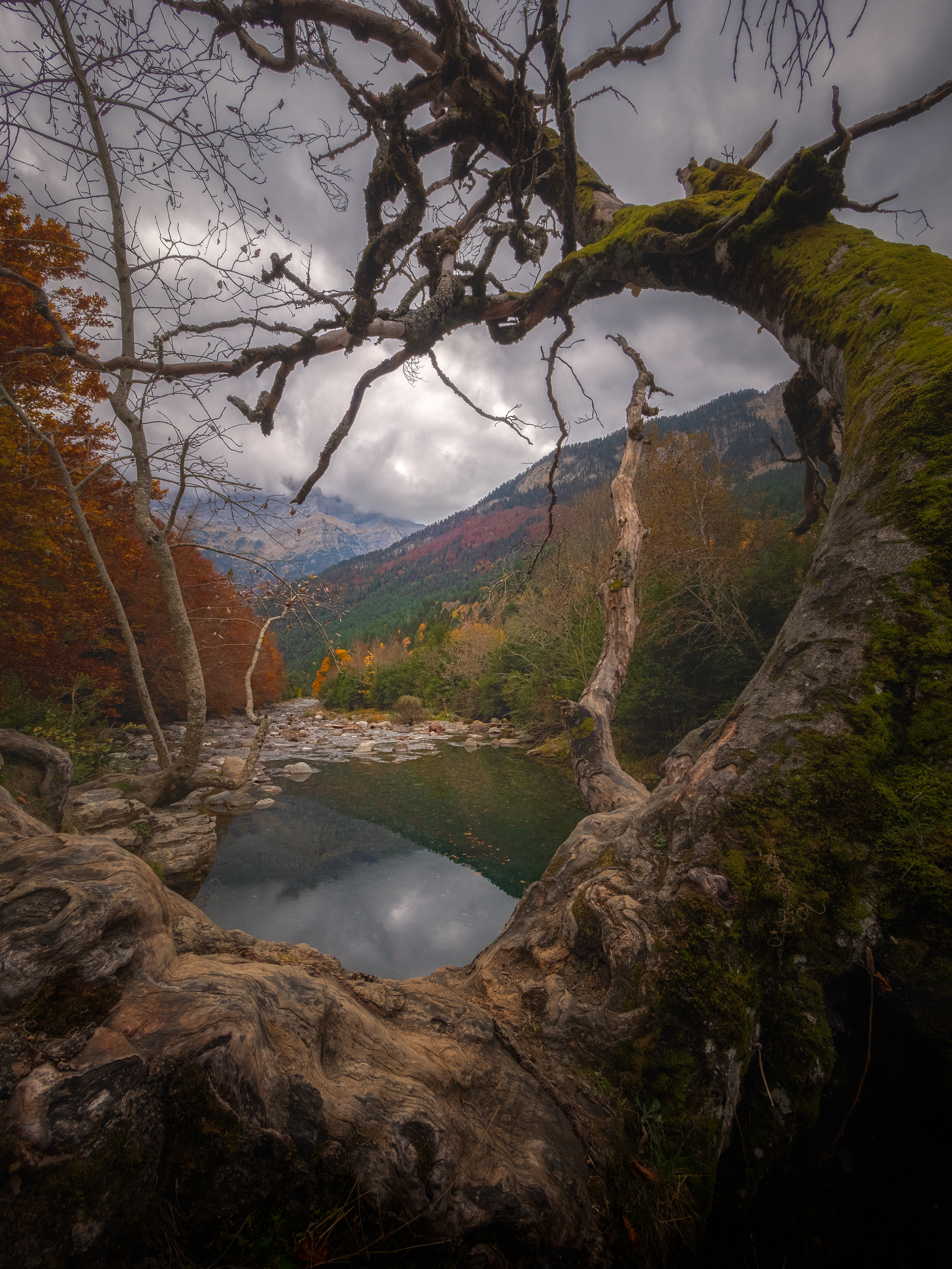 Bujaruelo , Aragón