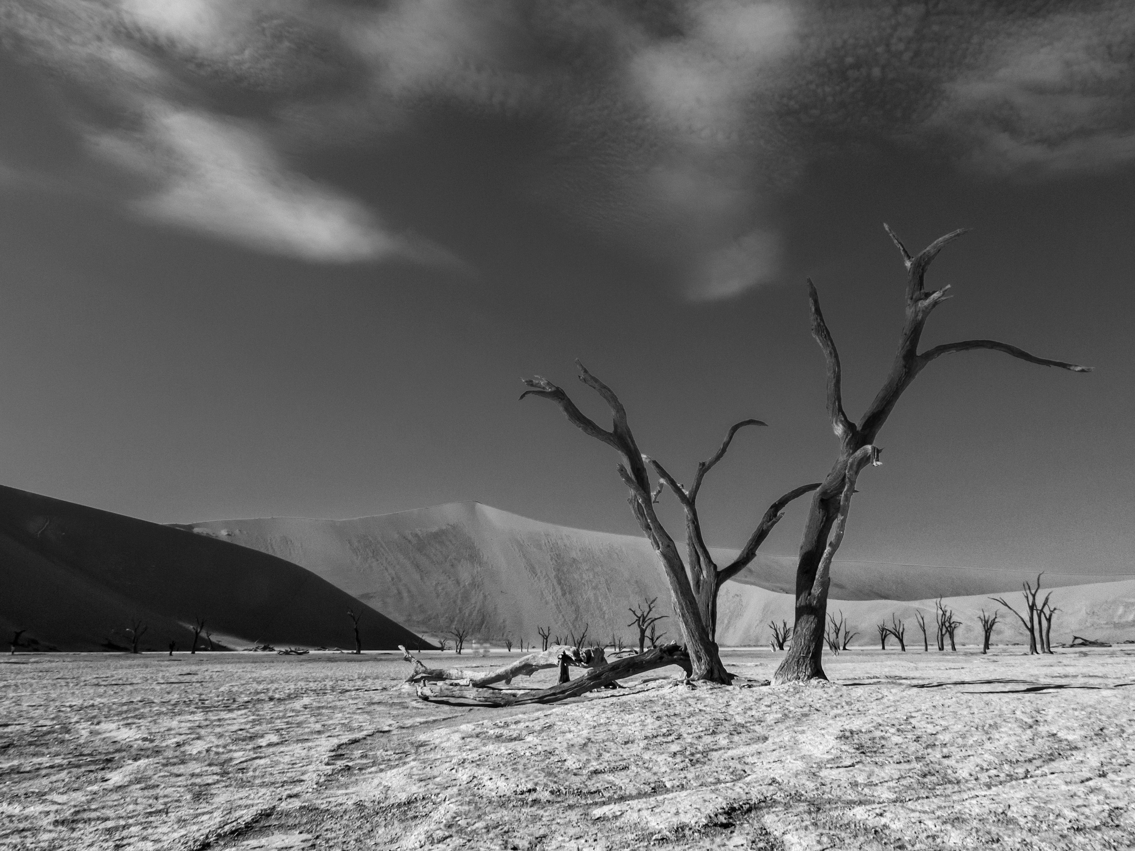 Desierto Namibia