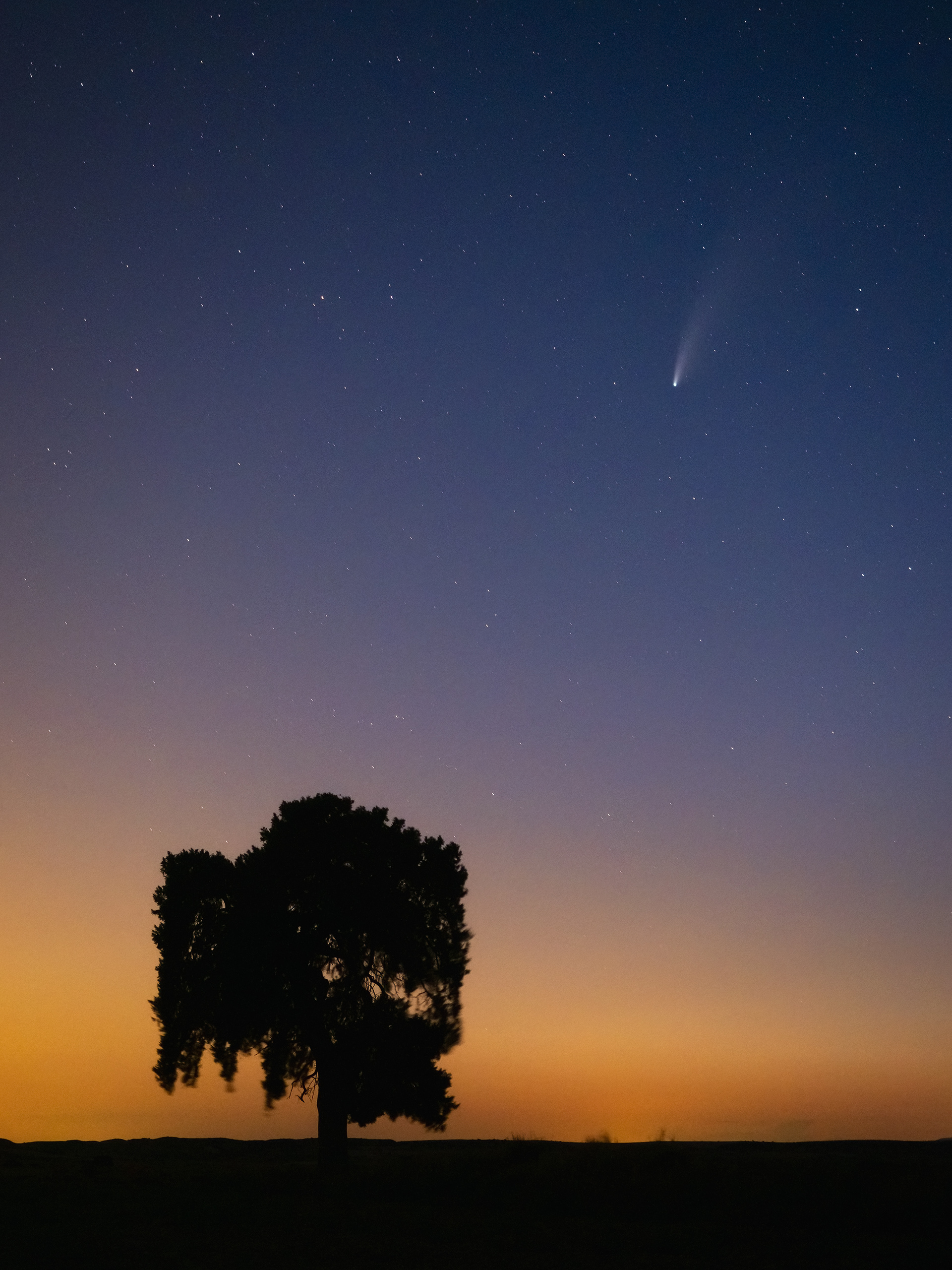 Cometa Neowise , Monegros