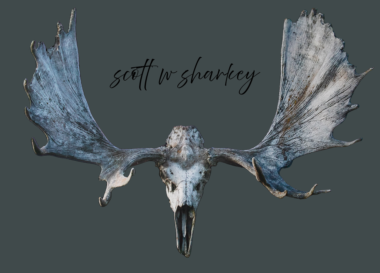 scott w sharkey