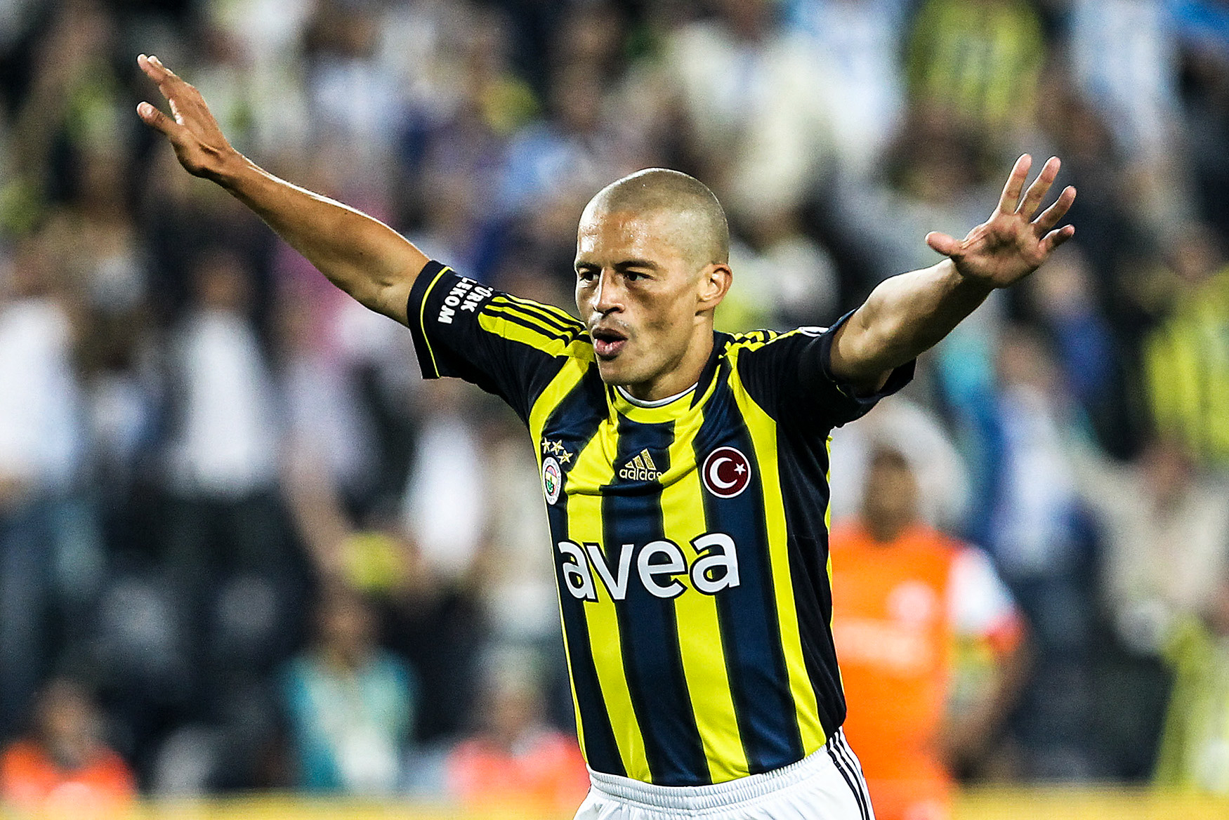 Alex De Souza, Fenerbahçe, İstanbul, 2011