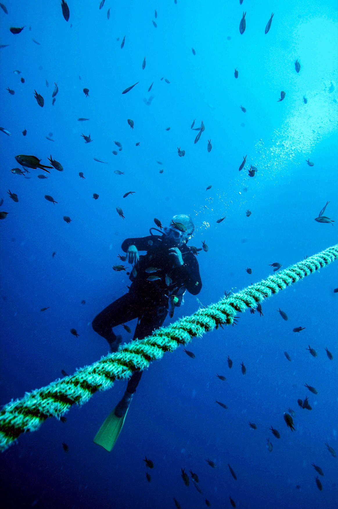 Paris Sunken Ship, Kemer