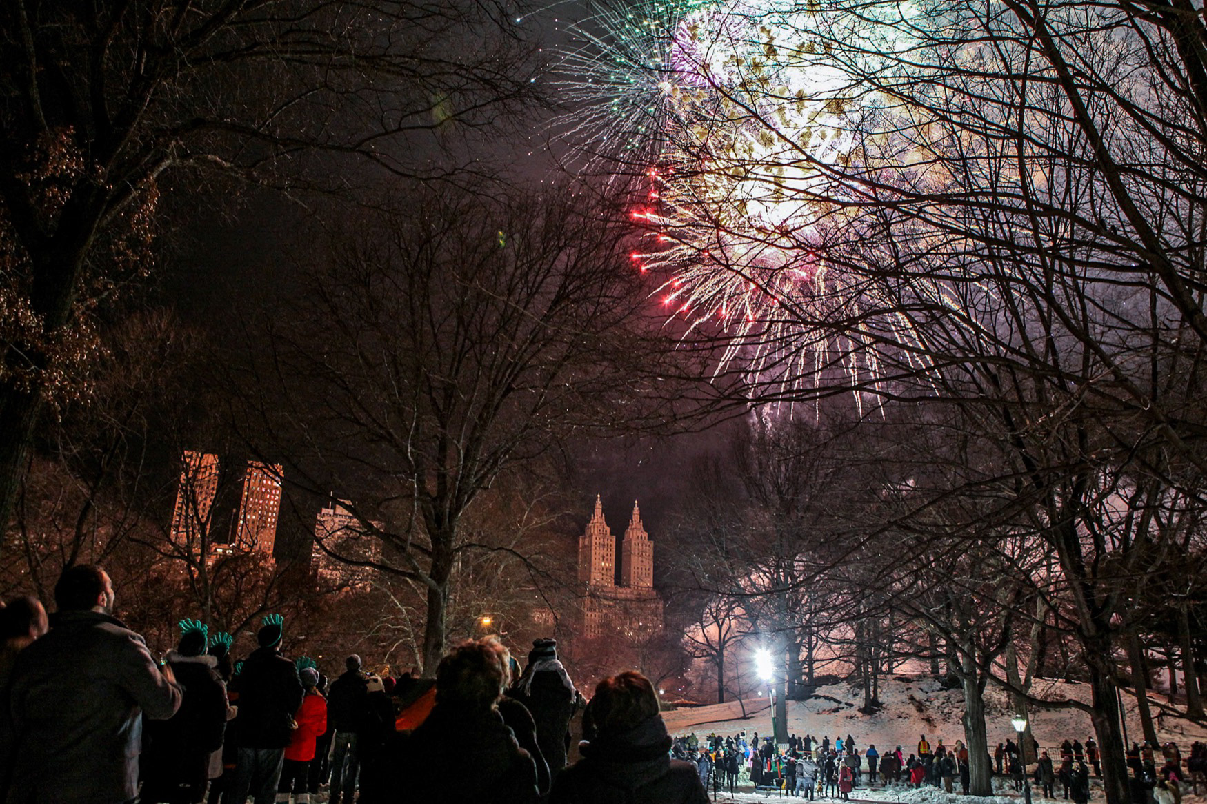 New Years Eve Celebrations, Central Park, 2009