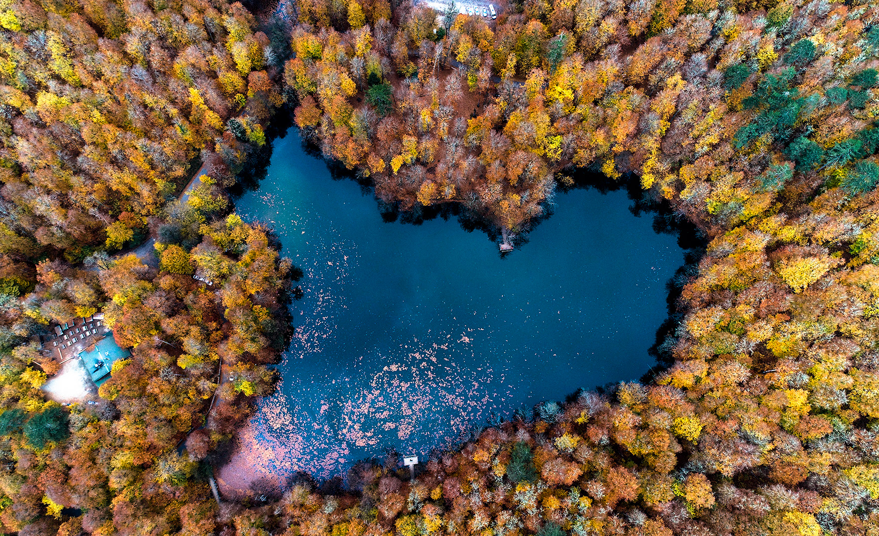 Büyük Göl, Yedigöller 