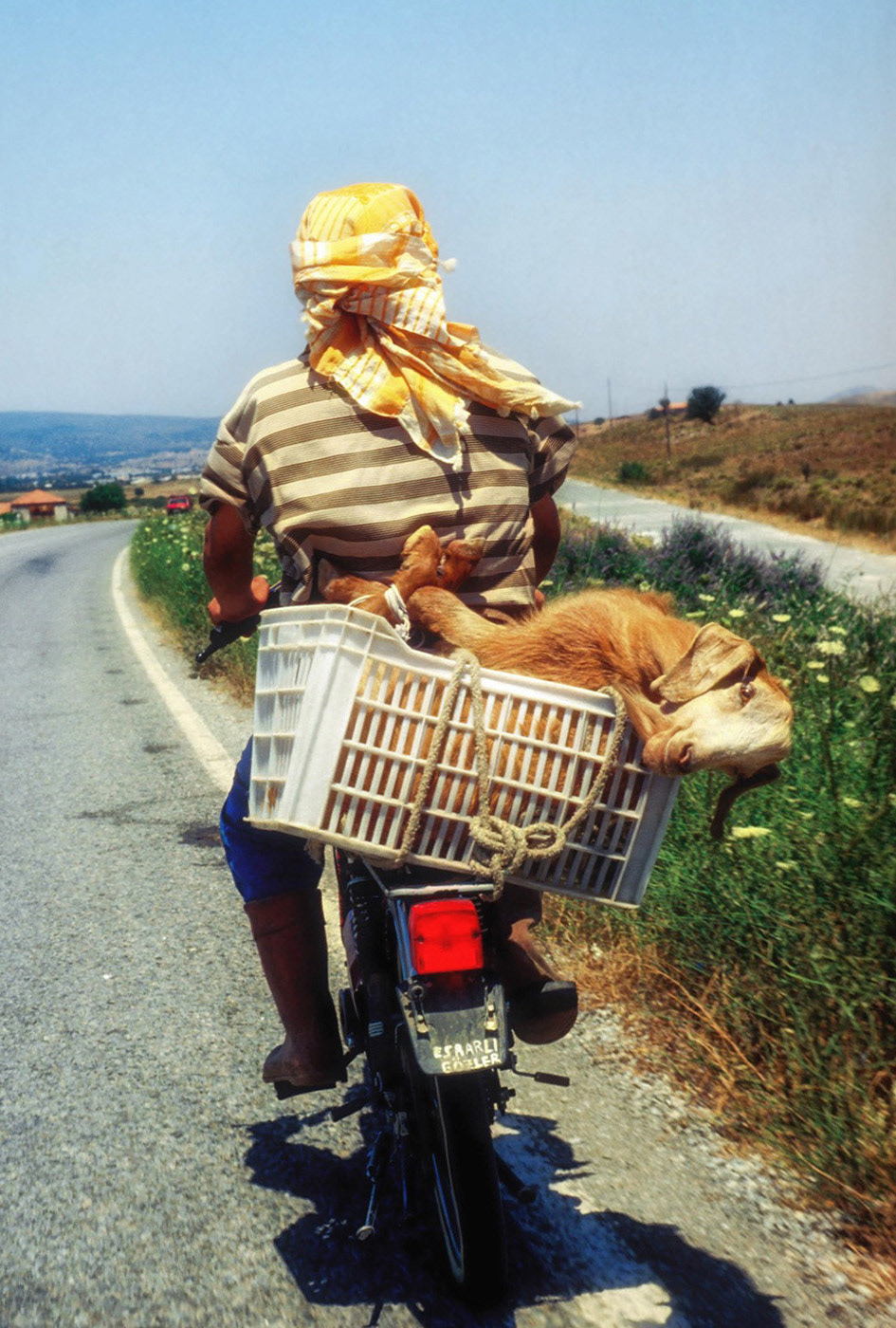 Seferihisar'da bir motorsikletli köylü, İzmir, 1998