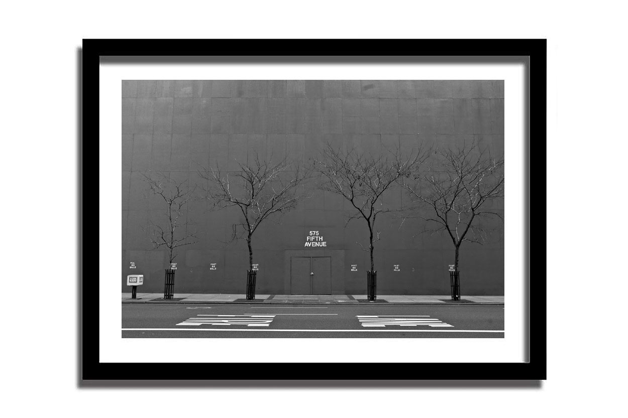 $ 300  -  Baskı boyutu 40 X 60