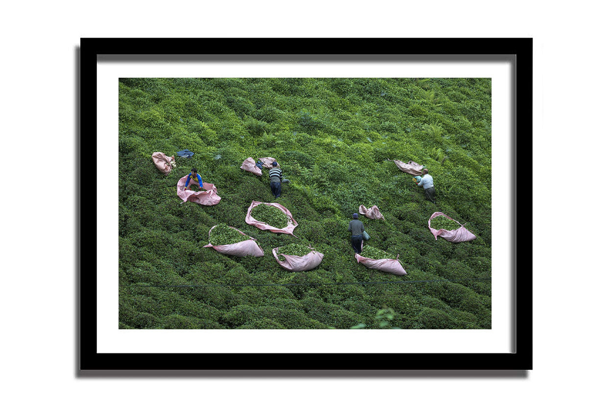 $ 125  -  Baskı boyutu 40 X 60