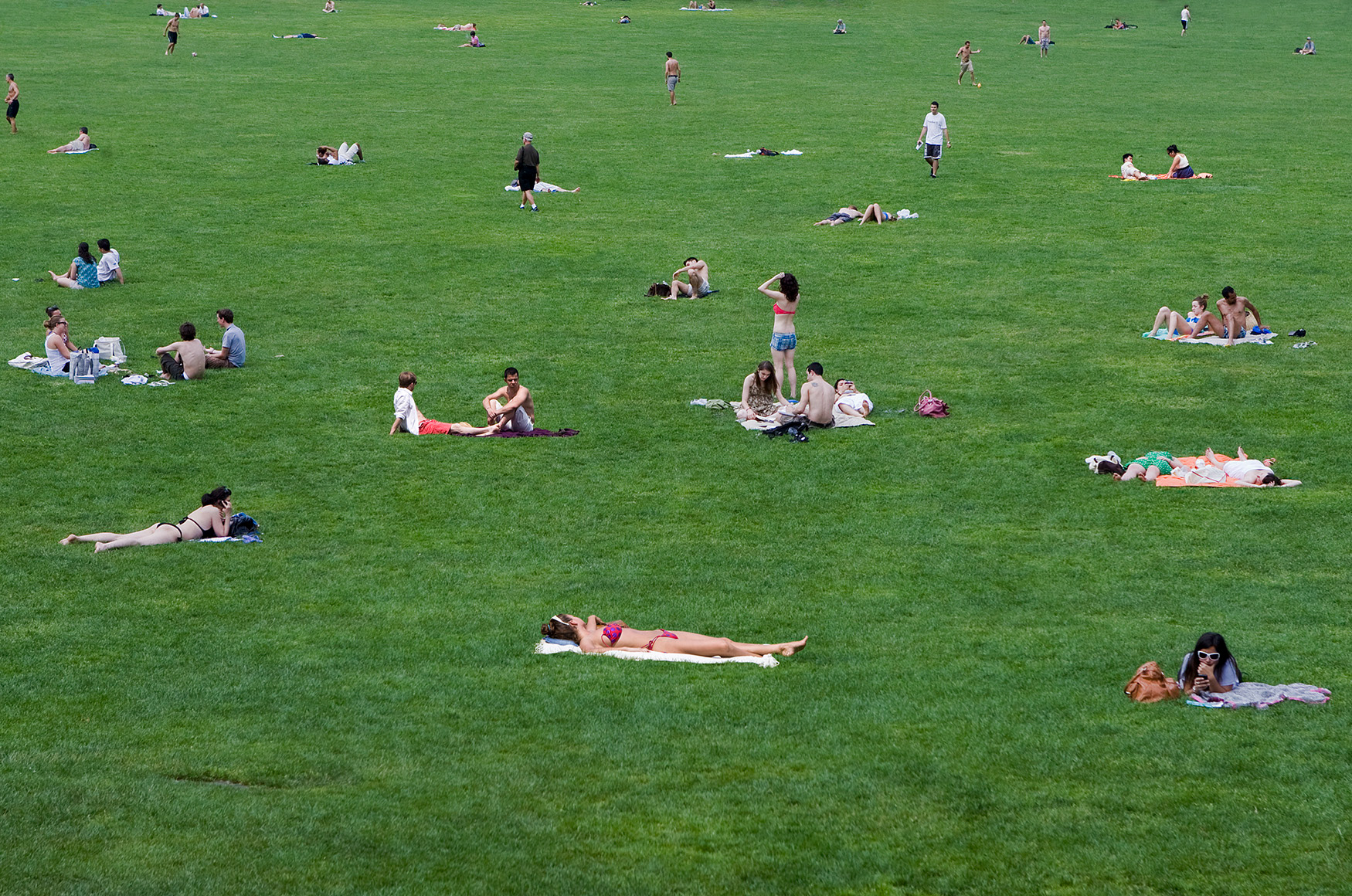 Summer in Central Park, 2009
