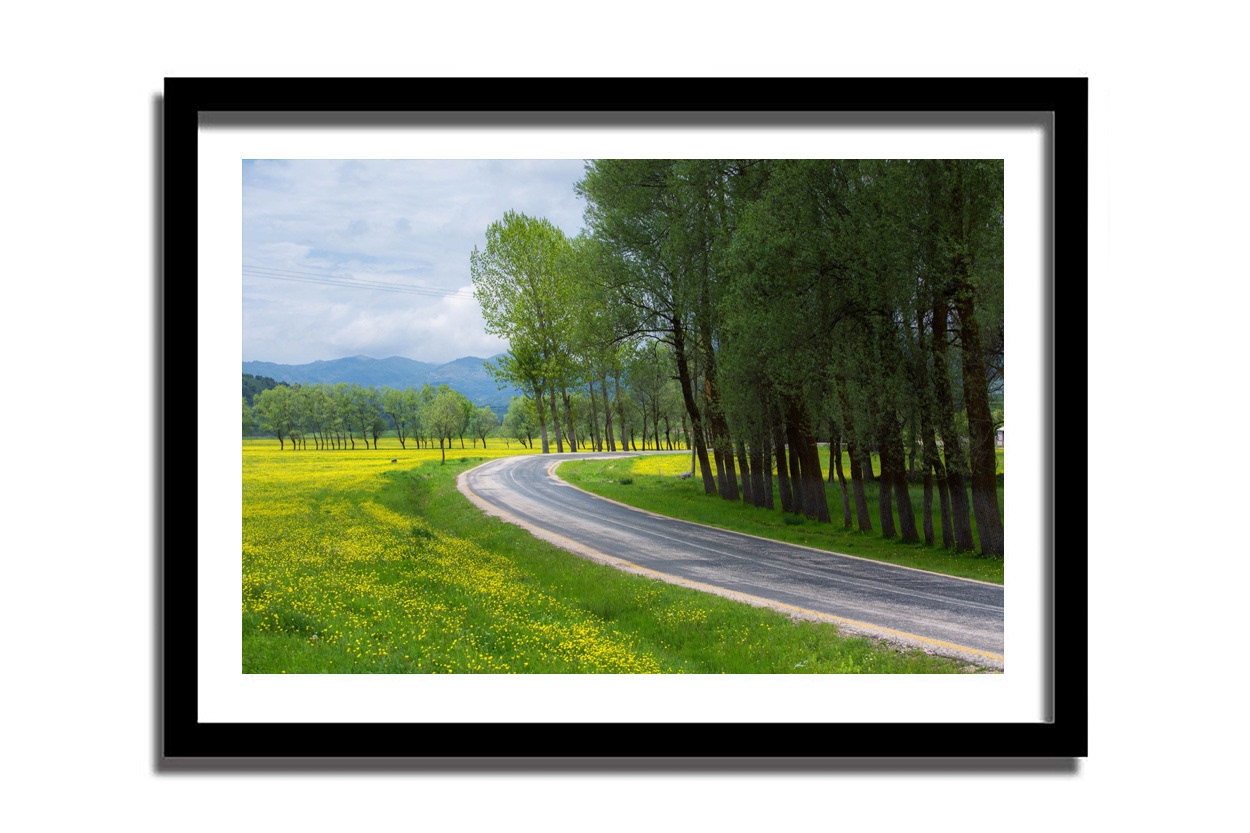 $ 125  -  Baskı Boyutu 40 X 60