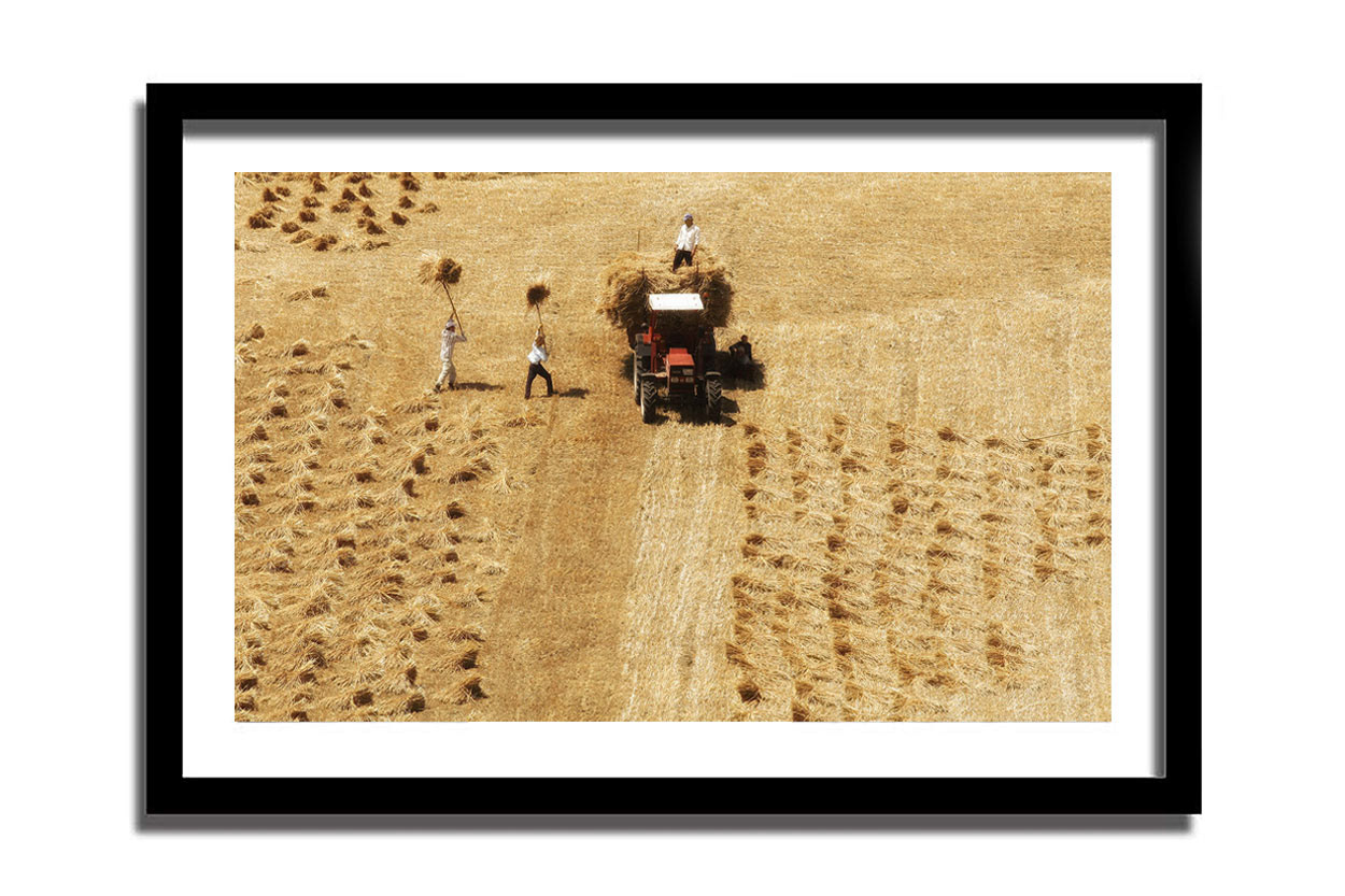 $ 175  -  Baskı boyutu 40 X 60