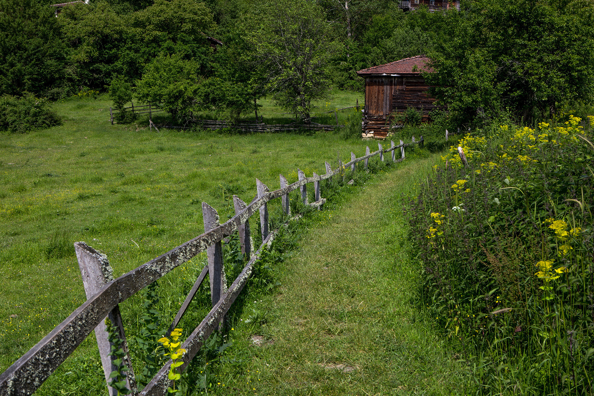 Valla Kanyonu, Kastamonu, 2017