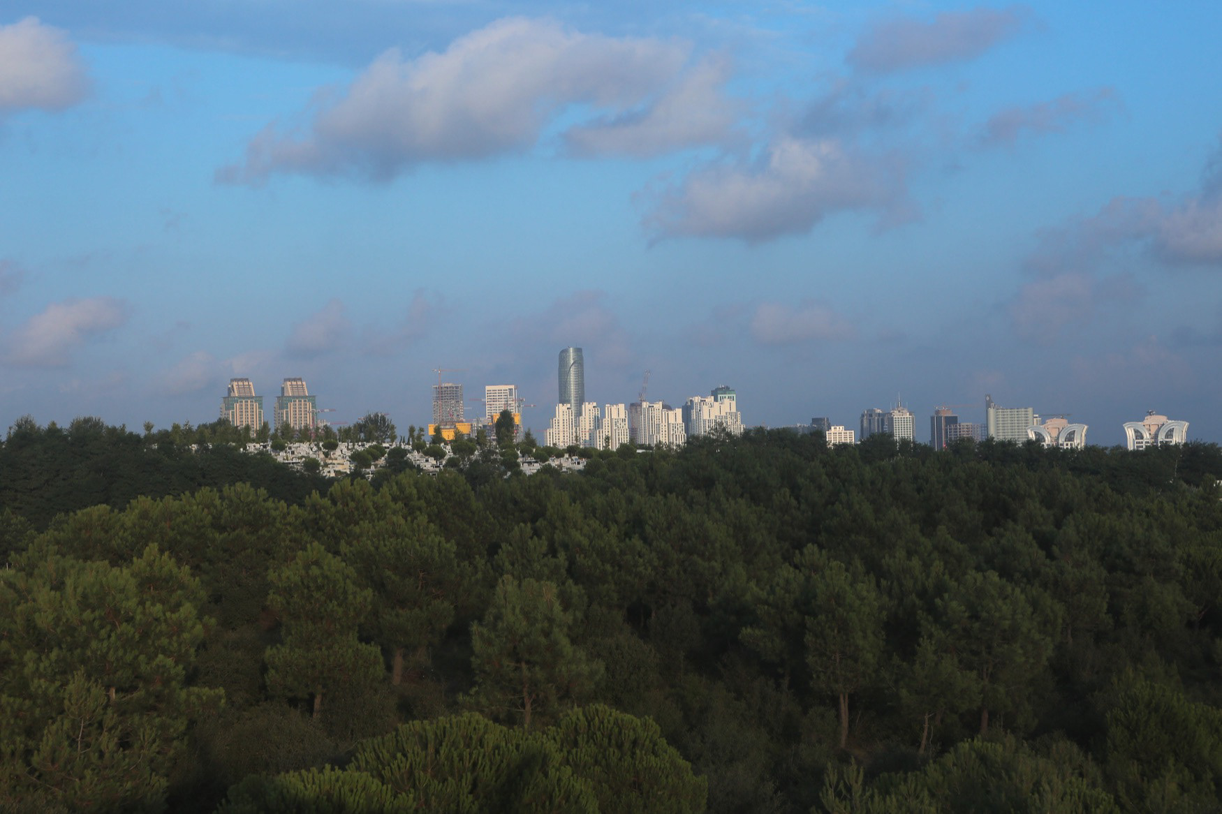 Forest and Maslak