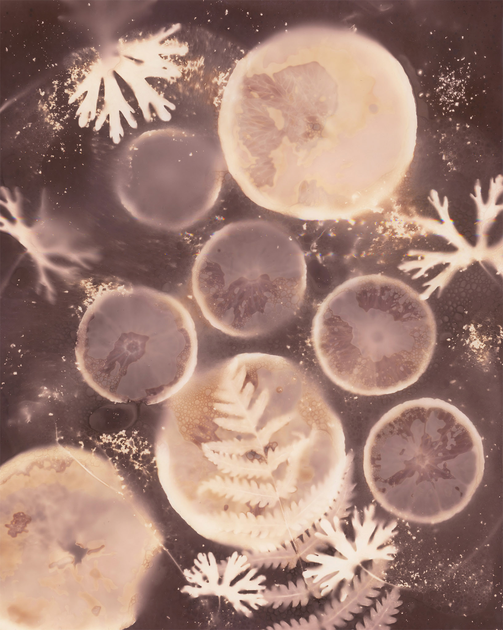 Lumen Print