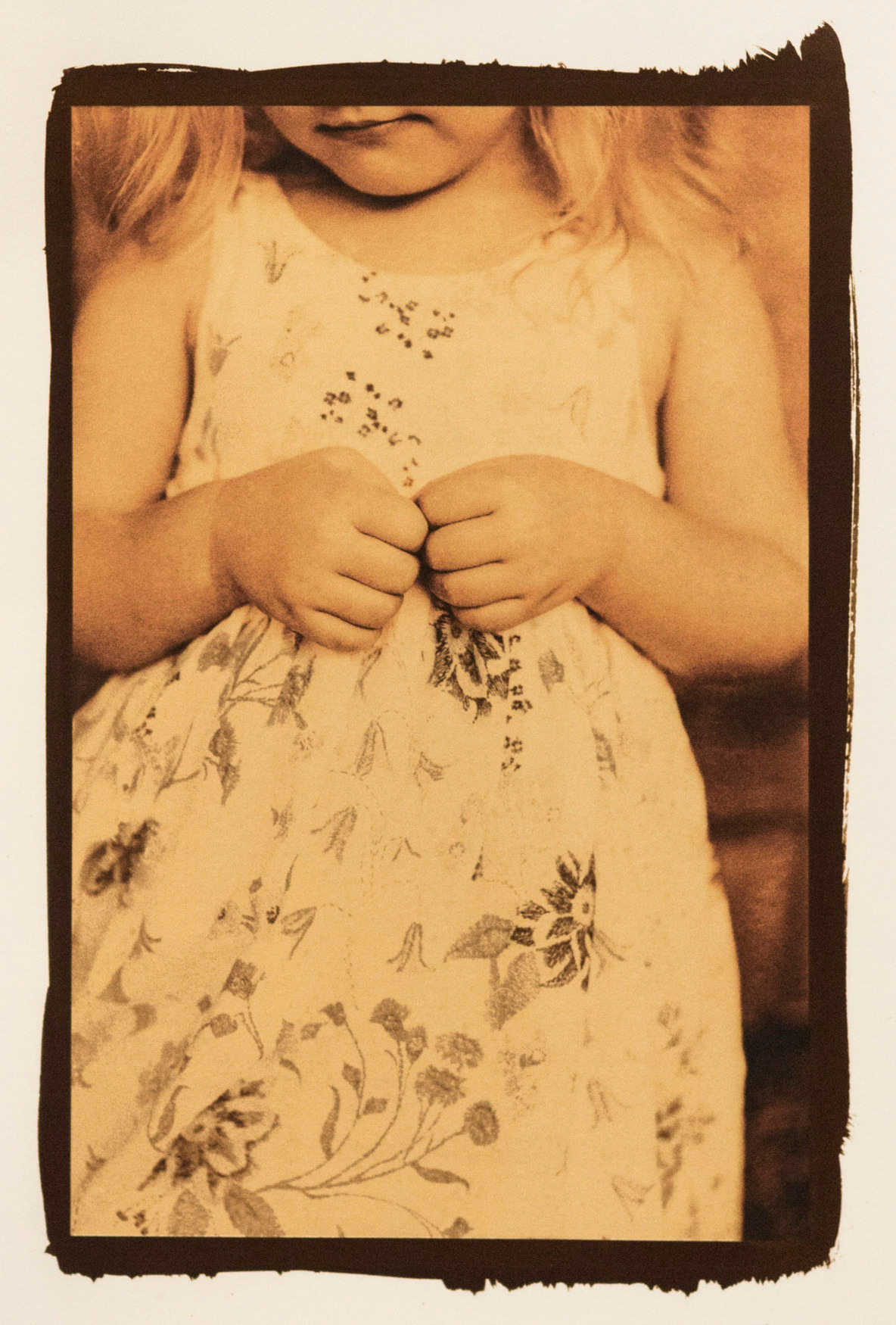 Cyclical Patterns. Van Dyke Brown over Inkjet Print. 
