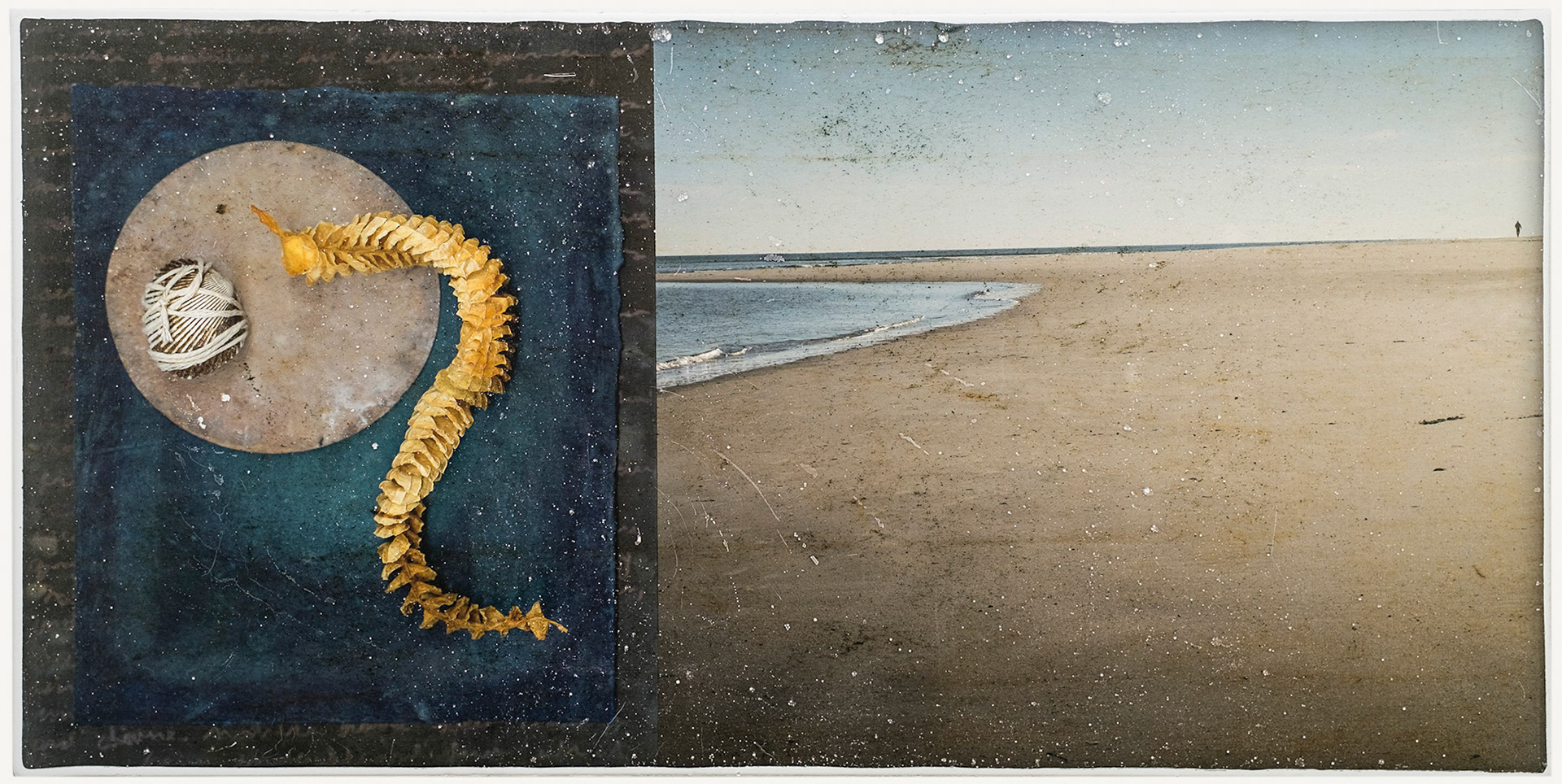 A (Seemingly) Short Swim to the Other Side. White Marble Gelatin Fresco Image Transfer, 2013