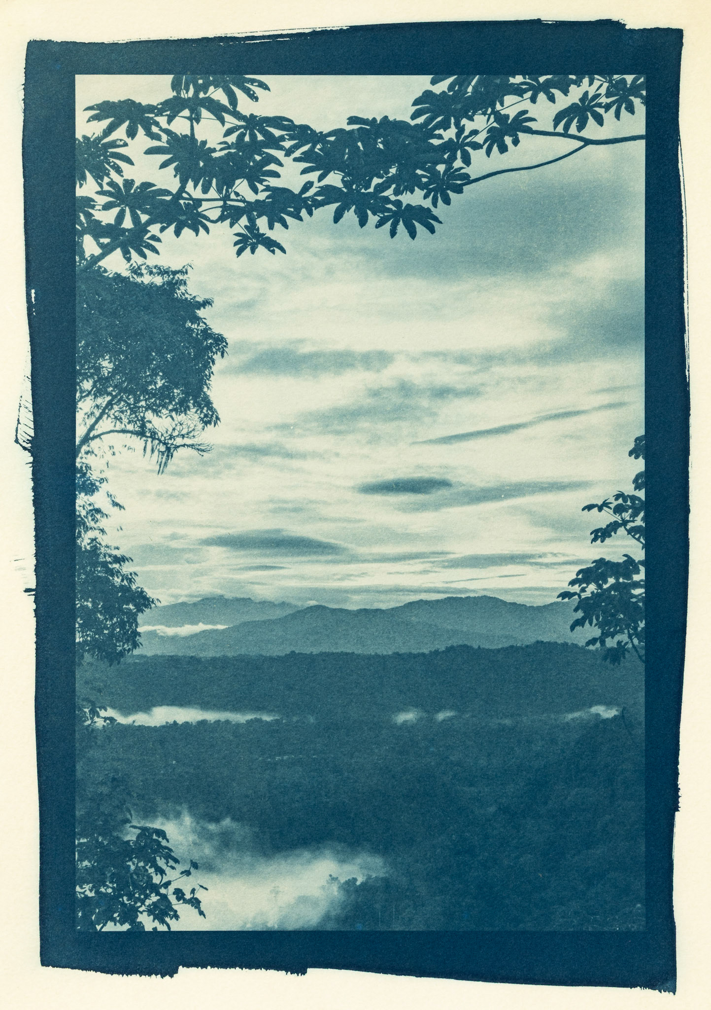 Wildsumaco Lodge View, 2. Botanically Toned Cyanotype, 2025